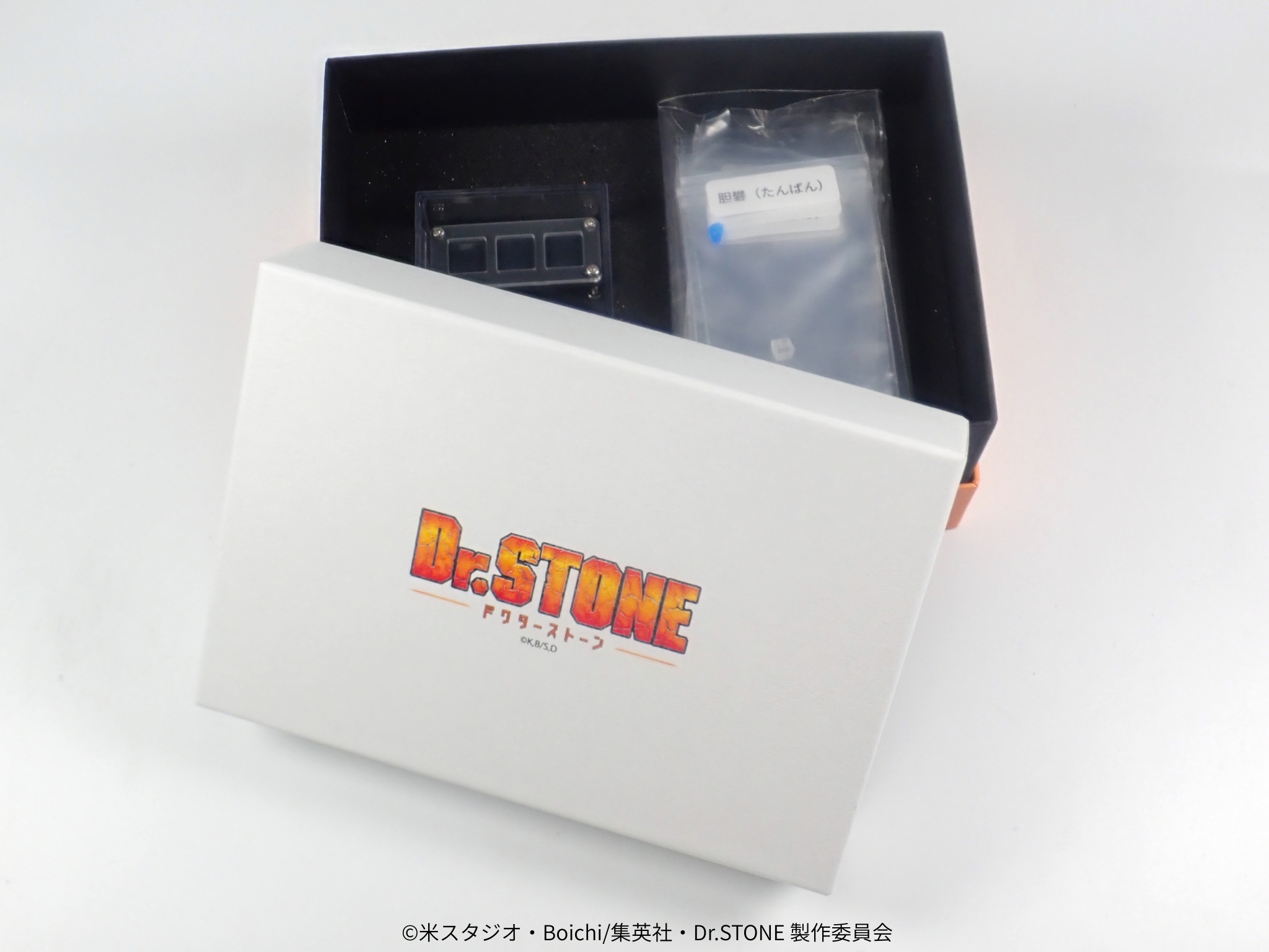 【4/29(三) 22點開賣】電視動畫《Dr.STONE 新石紀》×珠寶專門店KARATZ合作款 礦物收藏套組(10種套組/附5張解說卡)