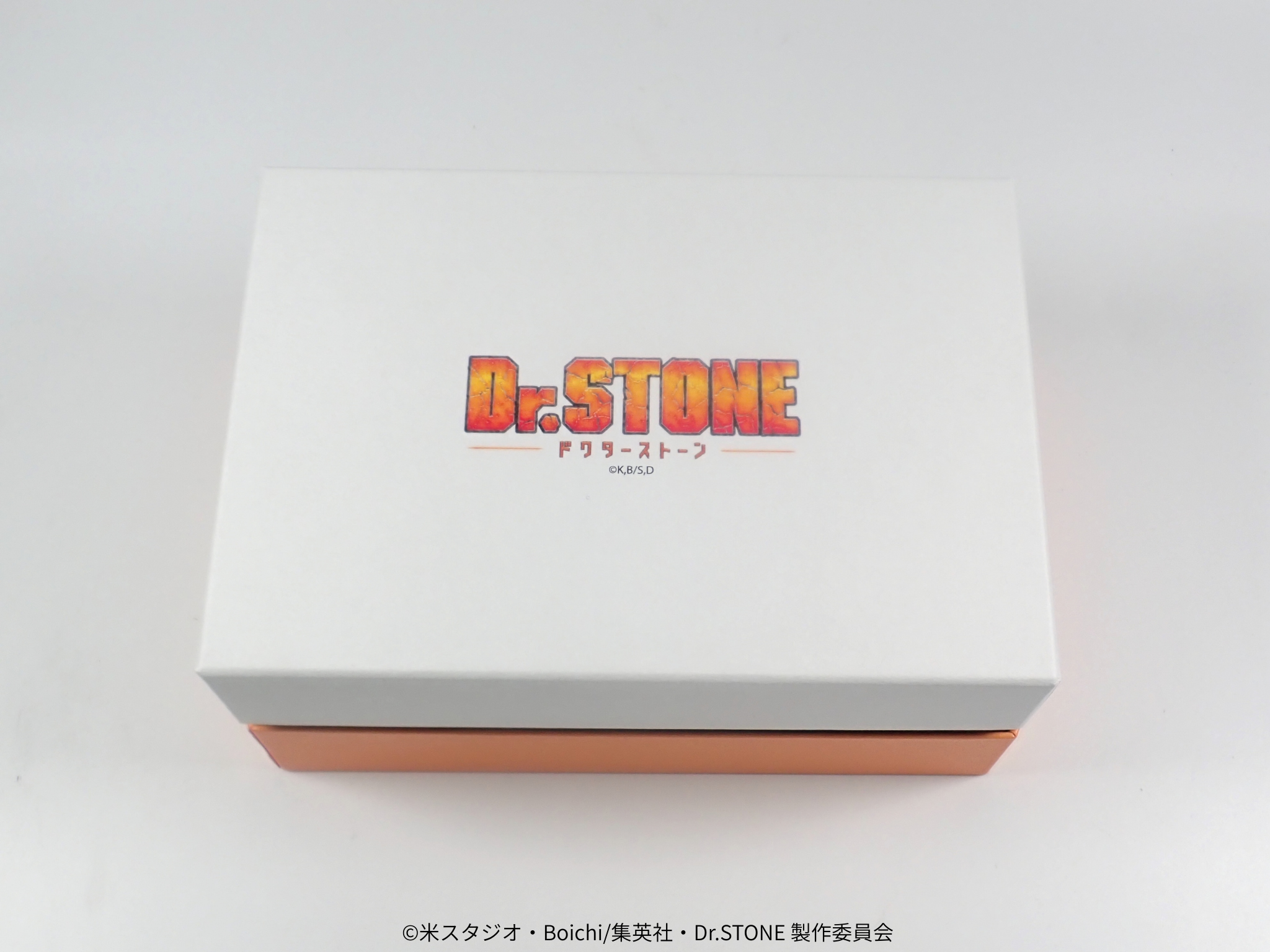 【4/29(三) 22點開賣】電視動畫《Dr.STONE 新石紀》×珠寶專門店KARATZ合作款 礦物收藏套組(10種套組/附5張解說卡)