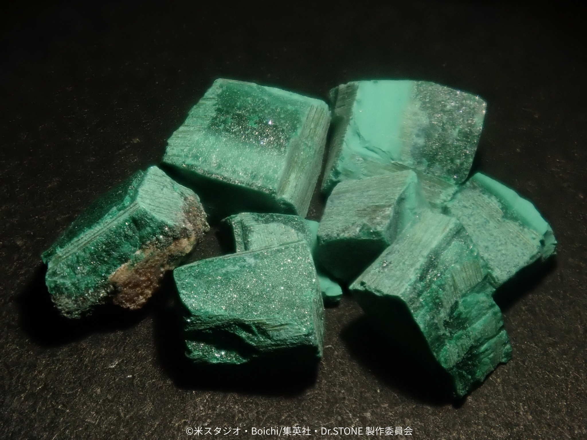 【4/29(三) 22點開賣】電視動畫《Dr.STONE 新石紀》×珠寶專門店KARATZ合作款 礦物收藏套組(10種套組/附5張解說卡)