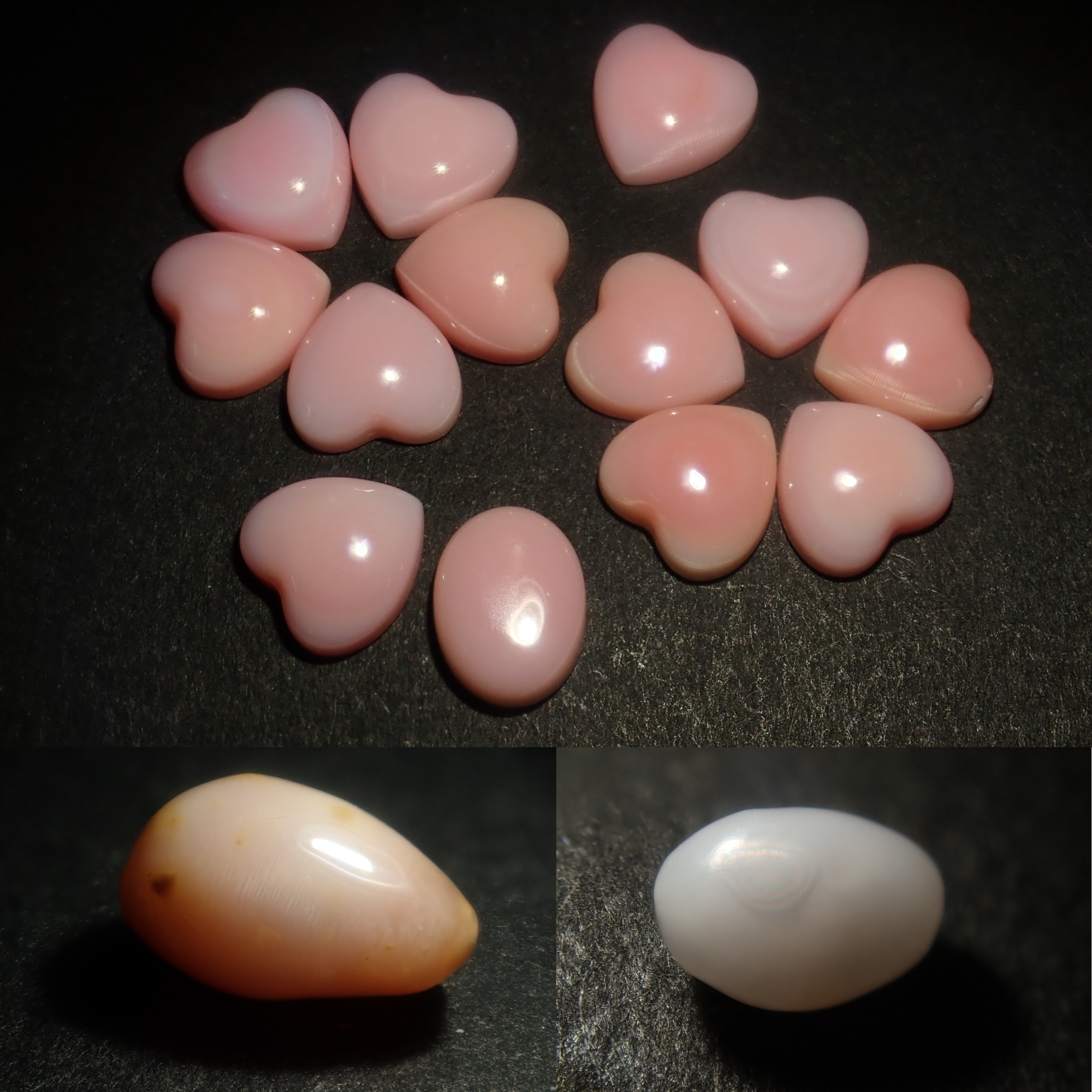 【1/31 22時販売】《限定15石》レアなセミホワイトカラーや火焔模様入り含むドミニカ共和国産コンクパール&シェルガチャ1石ルース《複数購入割引有》