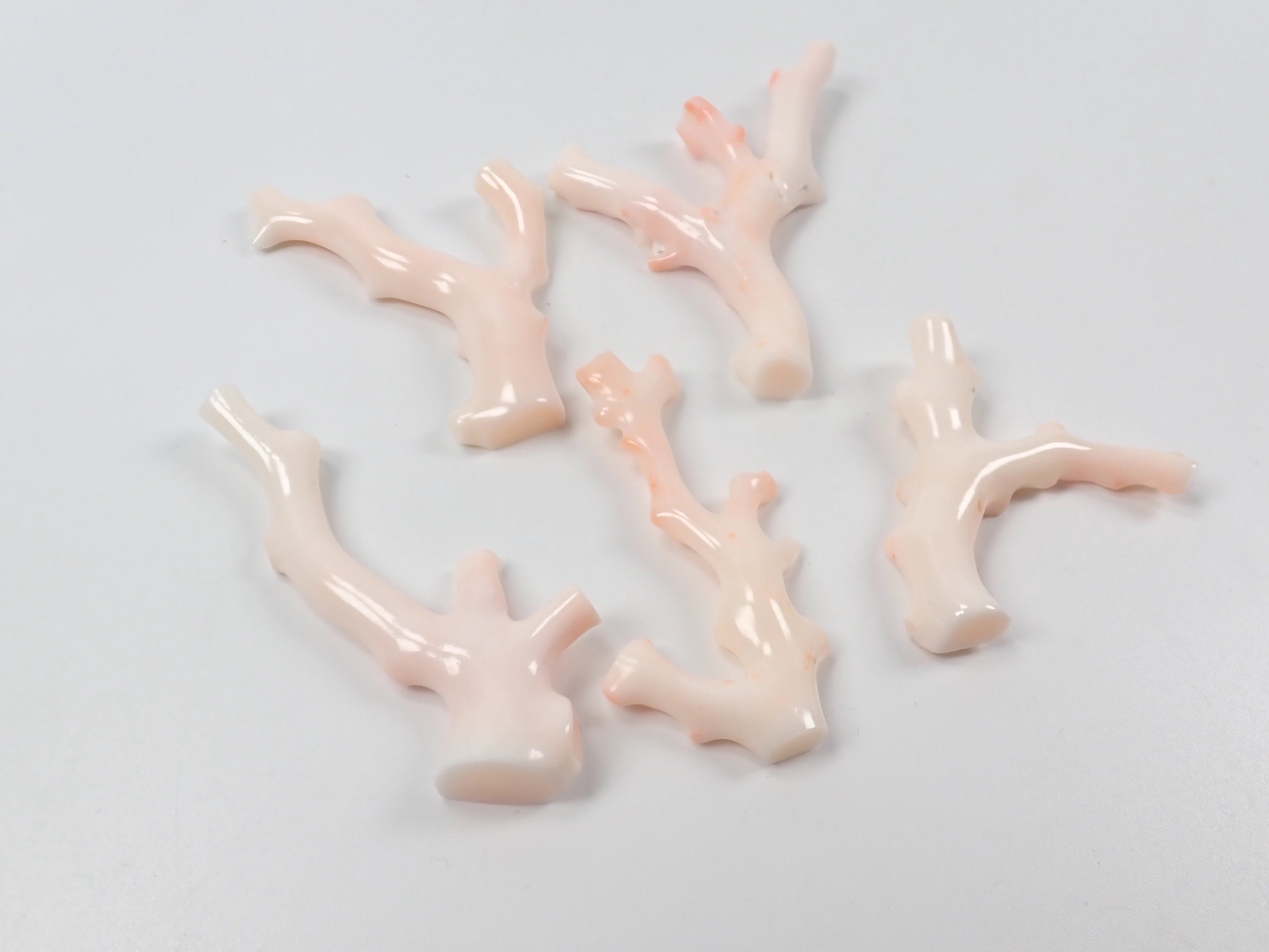 【4/18 22時販売】《限定5石》ミッドウェー産珊瑚 枝(原木)1石(3月誕生石、コーラル,平均26ct)《複数購入割引有》