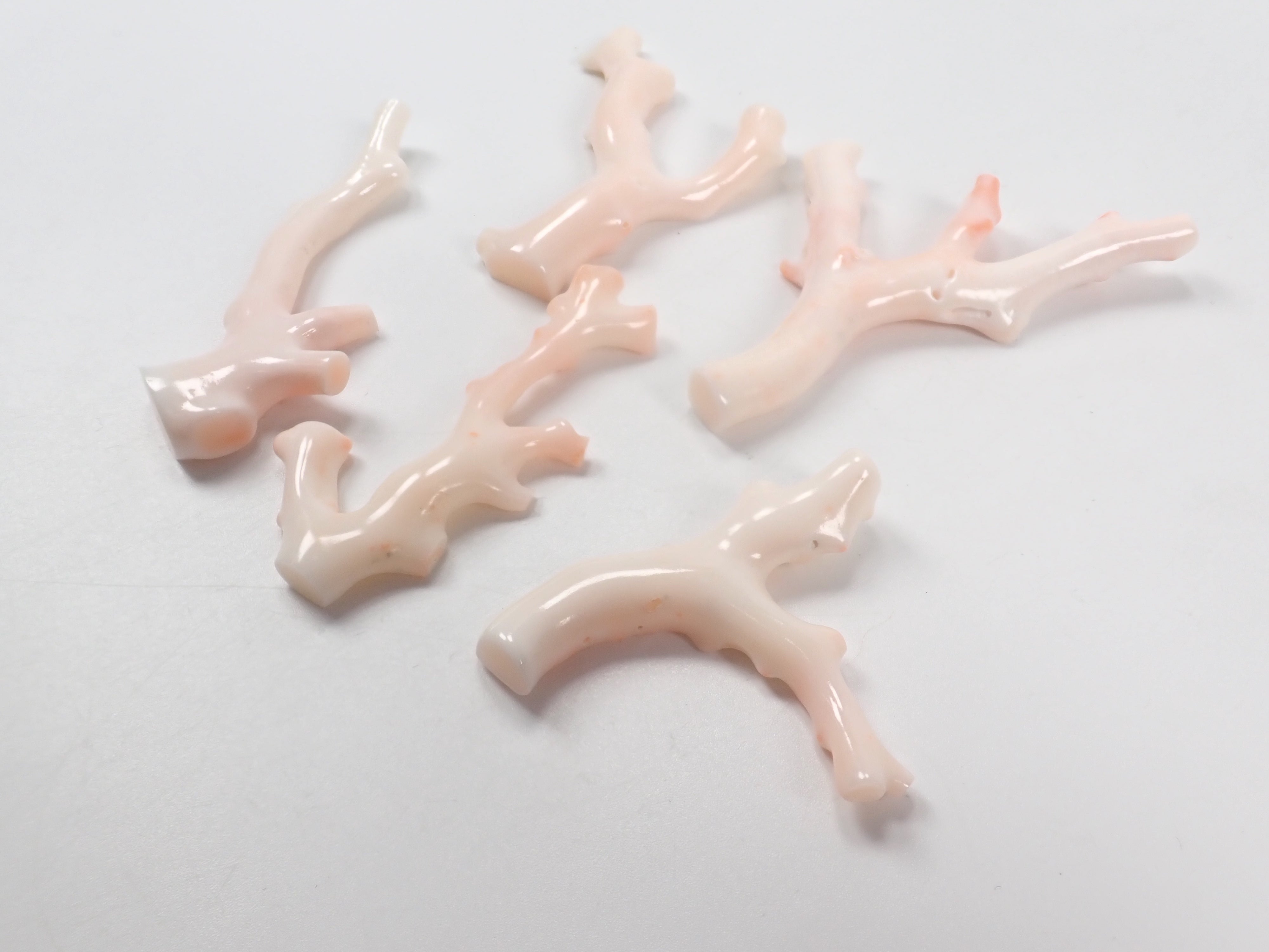 【4/18 22時販売】《限定5石》ミッドウェー産珊瑚 枝(原木)1石(3月誕生石、コーラル,平均26ct)《複数購入割引有》