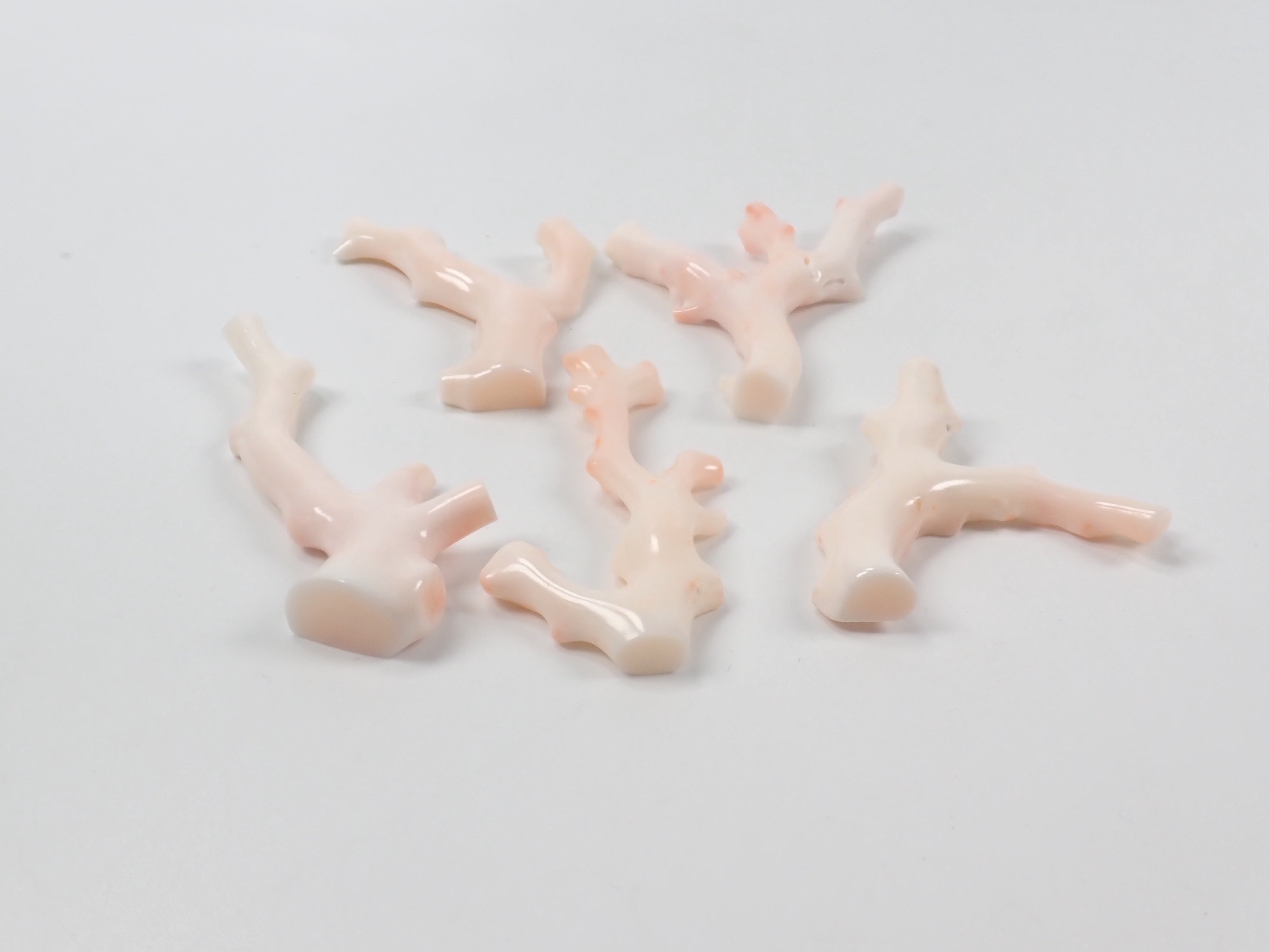 【4/18 22時販売】《限定5石》ミッドウェー産珊瑚 枝(原木)1石(3月誕生石、コーラル,平均26ct)《複数購入割引有》