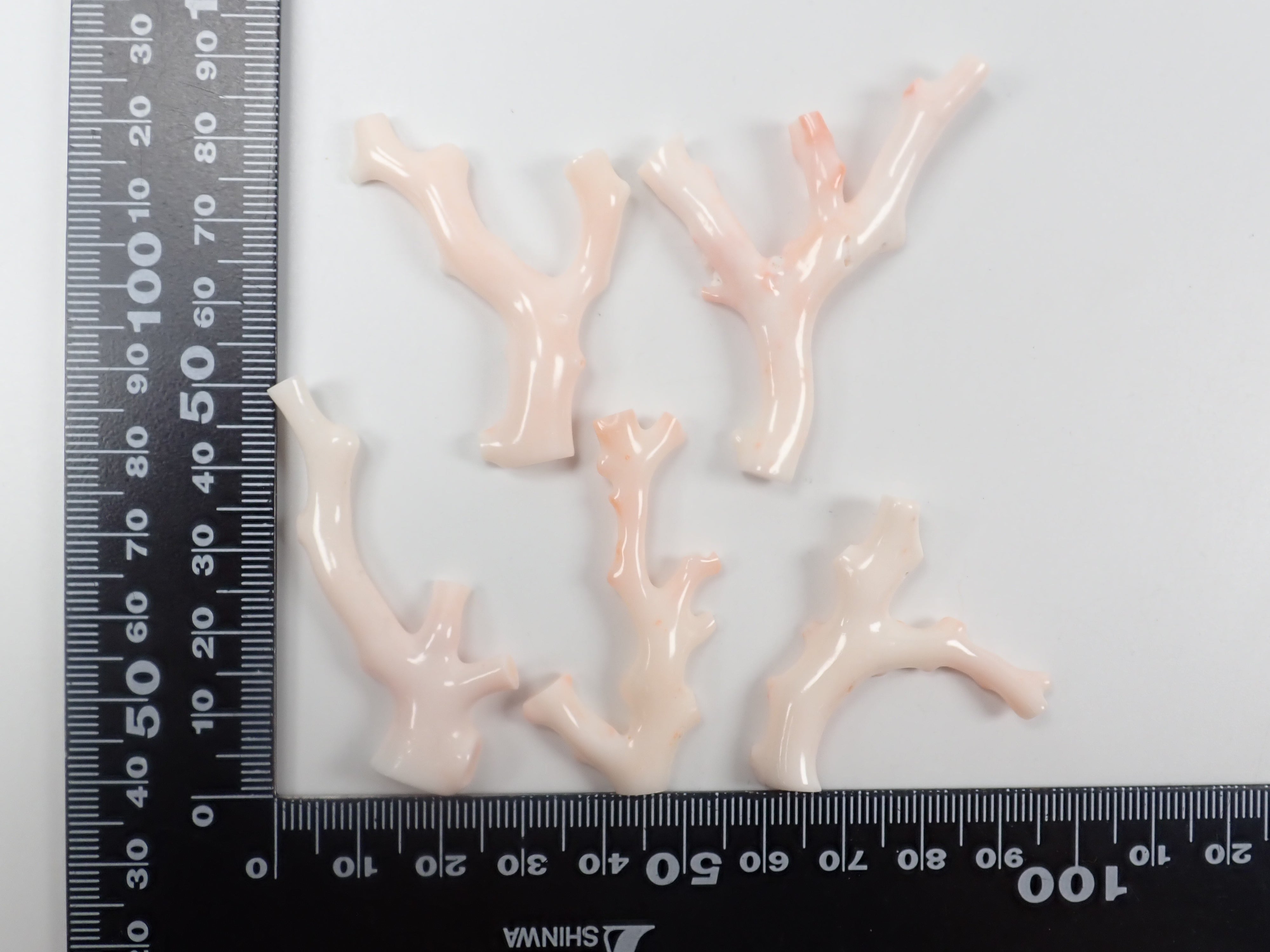 【4/18 22時販売】《限定5石》ミッドウェー産珊瑚 枝(原木)1石(3月誕生石、コーラル,平均26ct)《複数購入割引有》