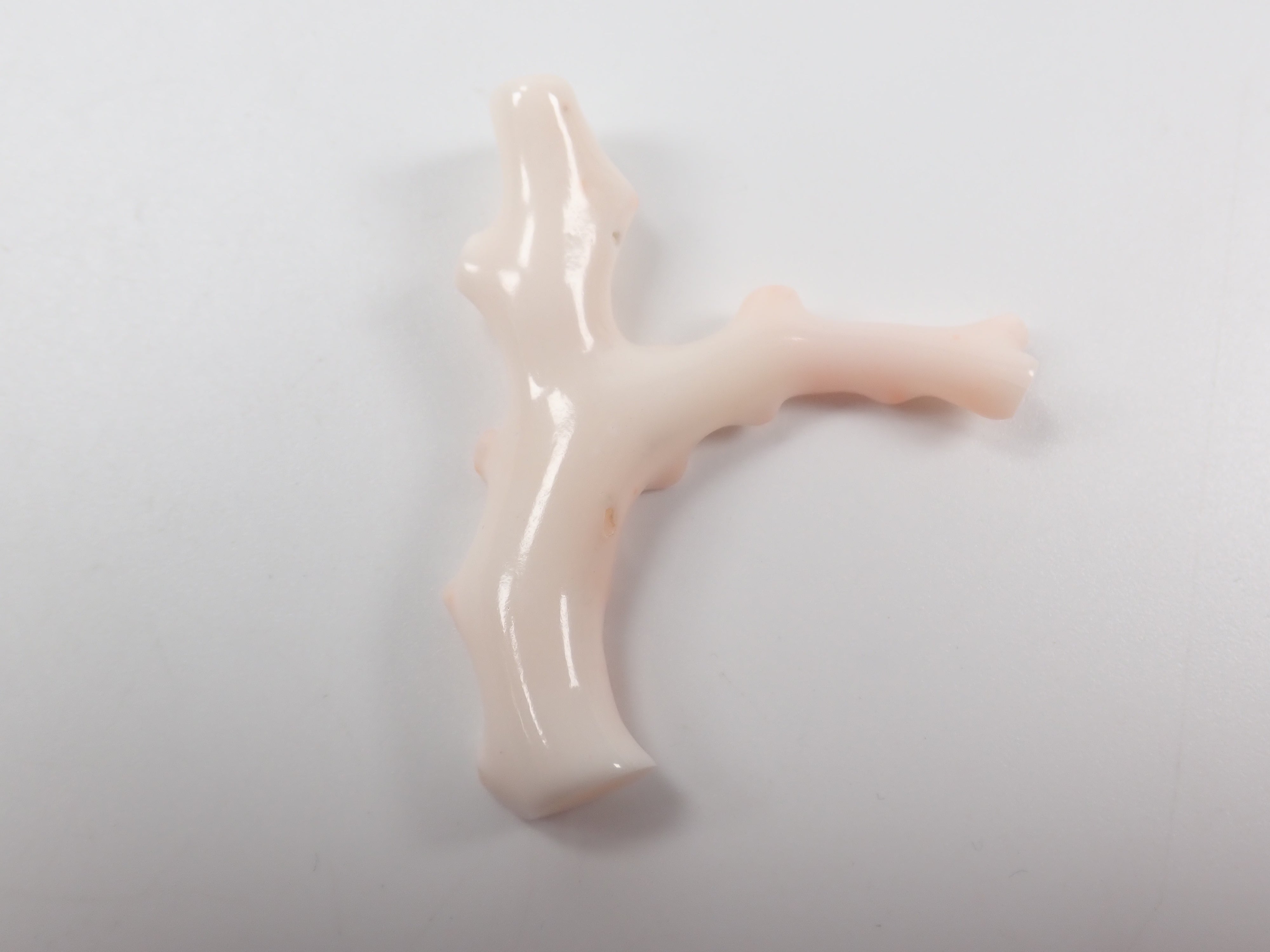 【4/18 22時販売】《限定5石》ミッドウェー産珊瑚 枝(原木)1石(3月誕生石、コーラル,平均26ct)《複数購入割引有》