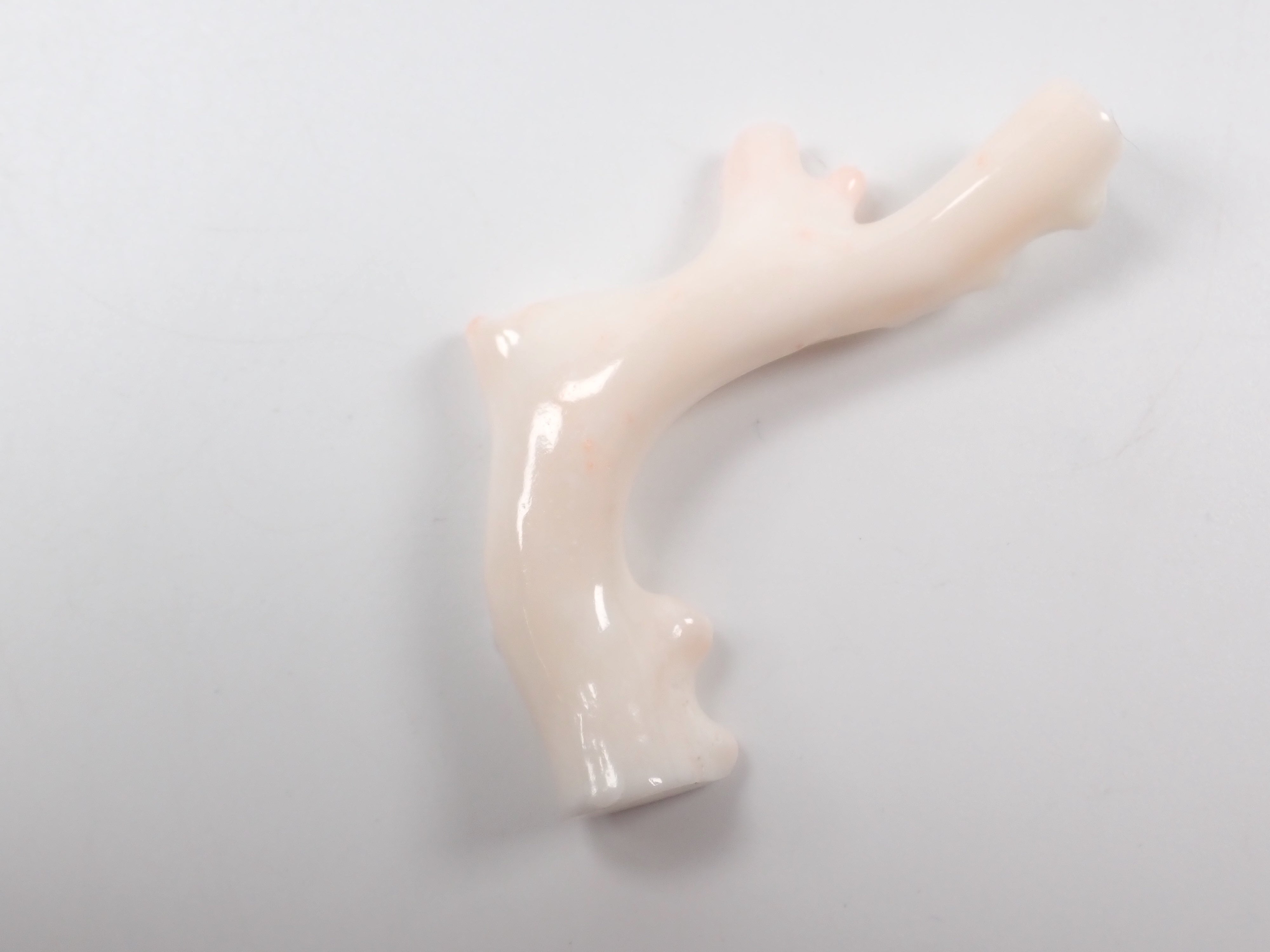 【4/18 22點開賣】《限量5顆》中途島產珊瑚 枝(原木)1顆(3月誕生石、珊瑚,平均26ct)《多件購買享折扣》