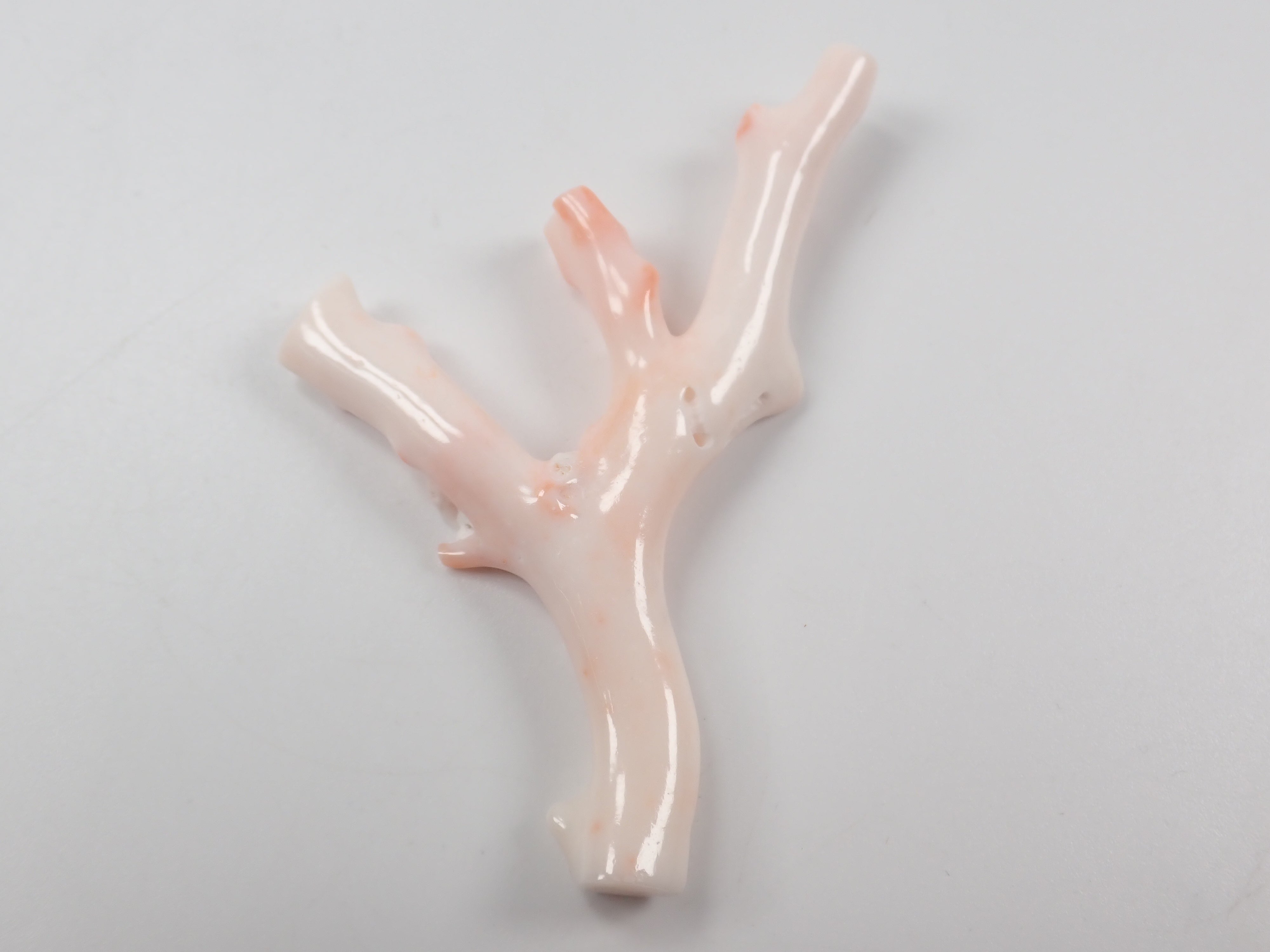 【4/18 22時販売】《限定5石》ミッドウェー産珊瑚 枝(原木)1石(3月誕生石、コーラル,平均26ct)《複数購入割引有》