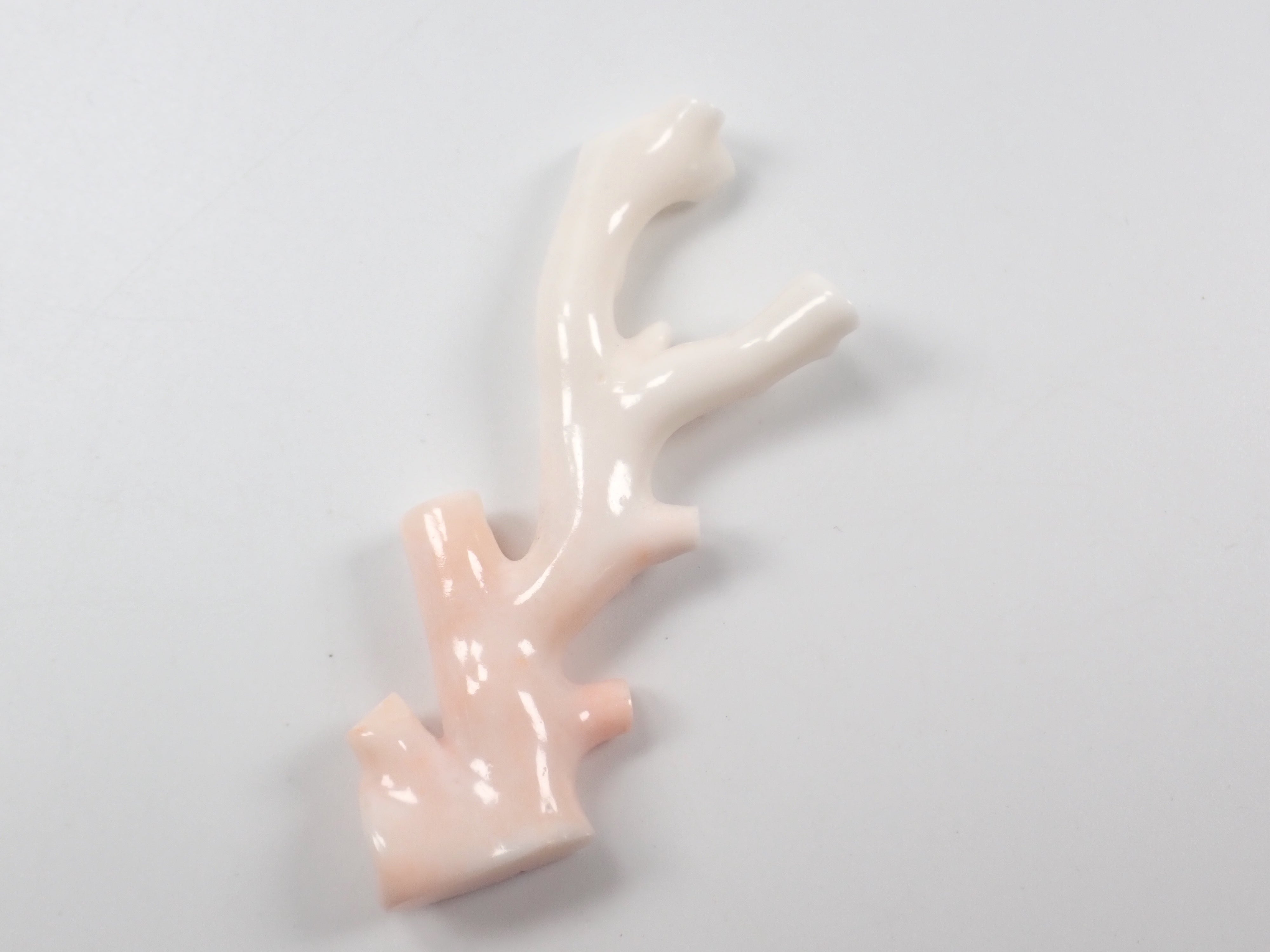 【4/18 22點開賣】《限量5顆》中途島產珊瑚 枝(原木)1顆(3月誕生石、珊瑚,平均26ct)《多件購買享折扣》