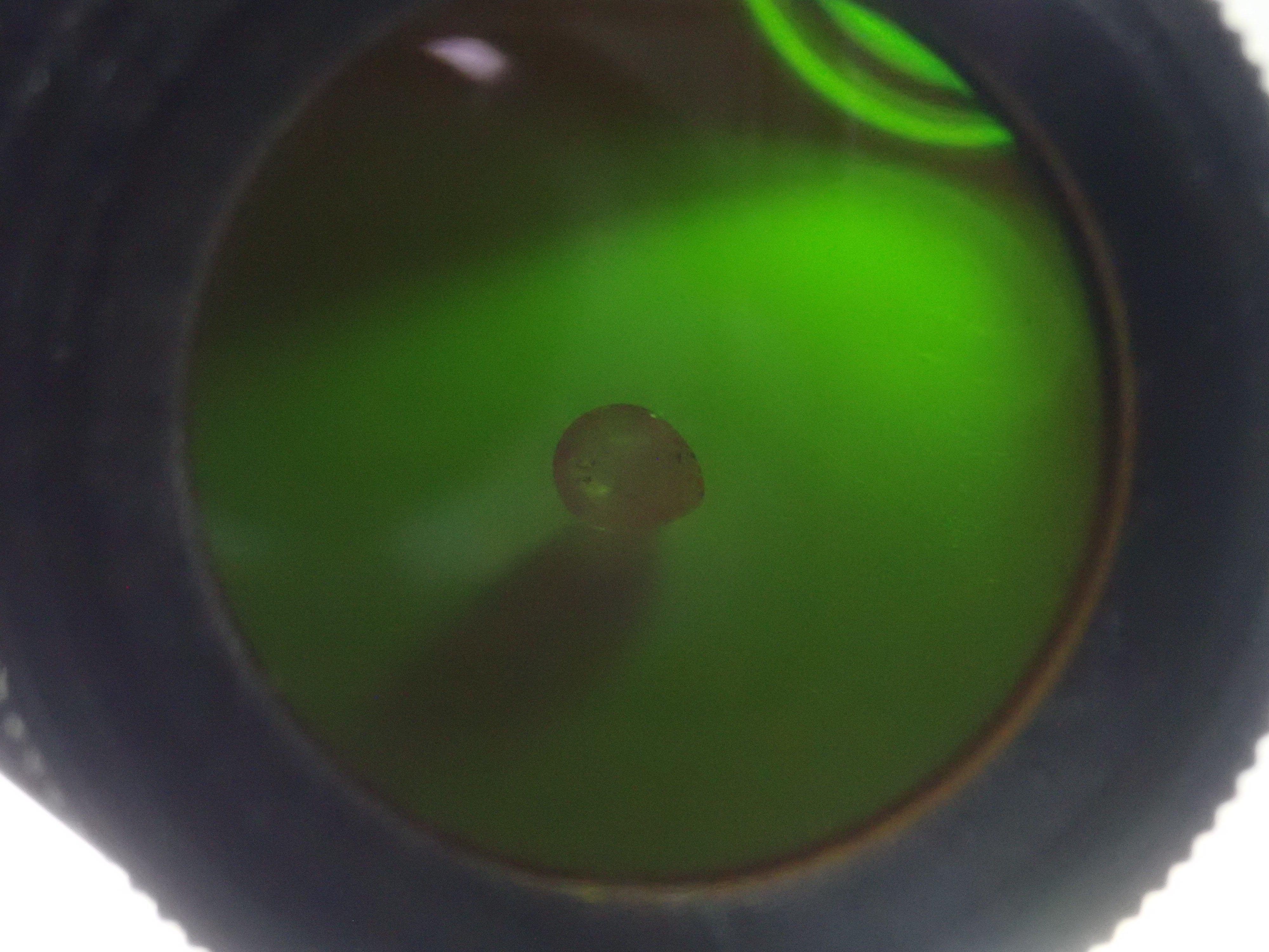 【宝石商の道具】《数量限定》チェルシーカラーフィルター・エメラルド2点セット