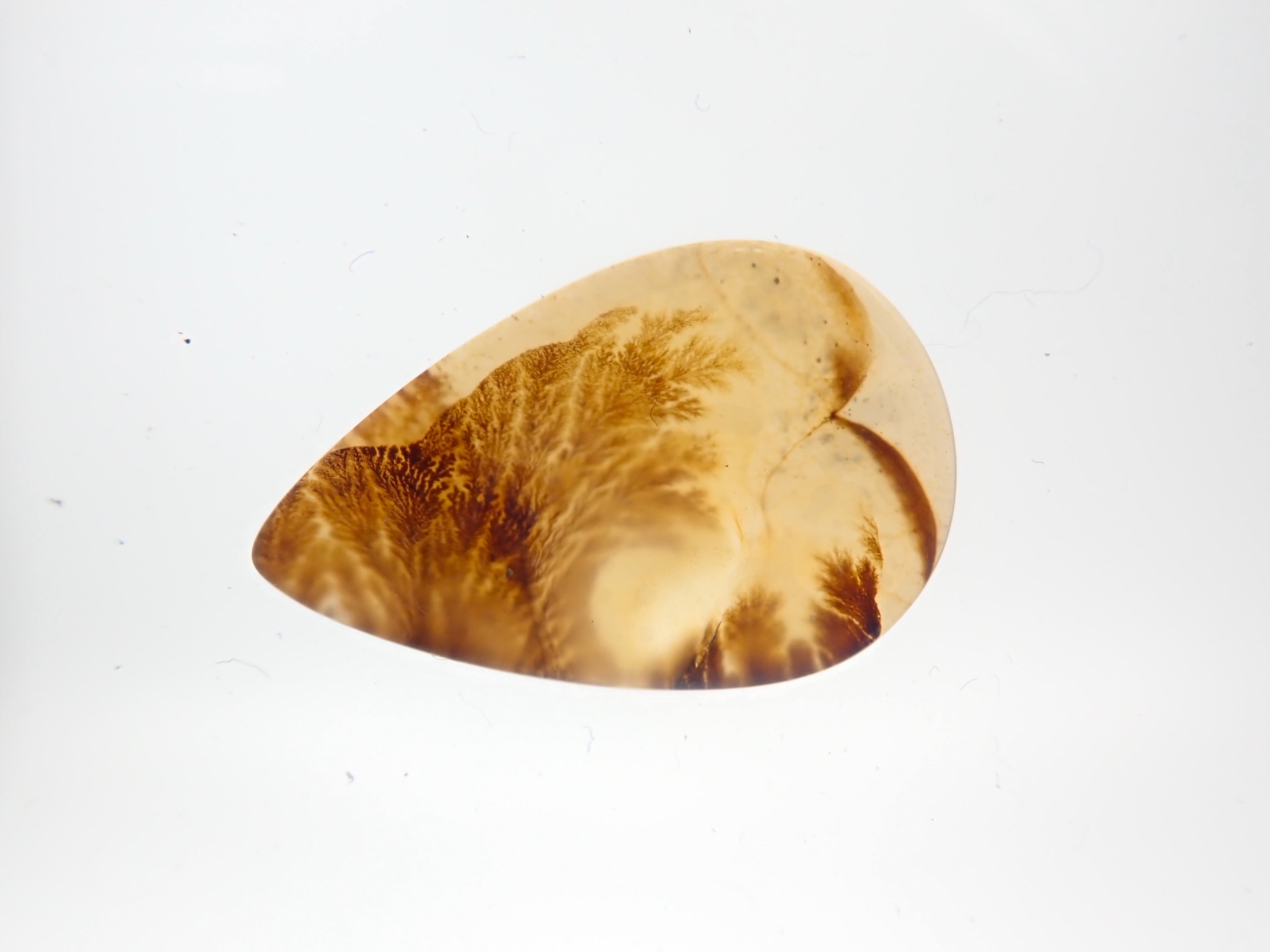【9/29 22時販売】《限定14石》ブラジル産デンドリティッククォーツ1石ルース(平均7ct)《複数購入割引有》