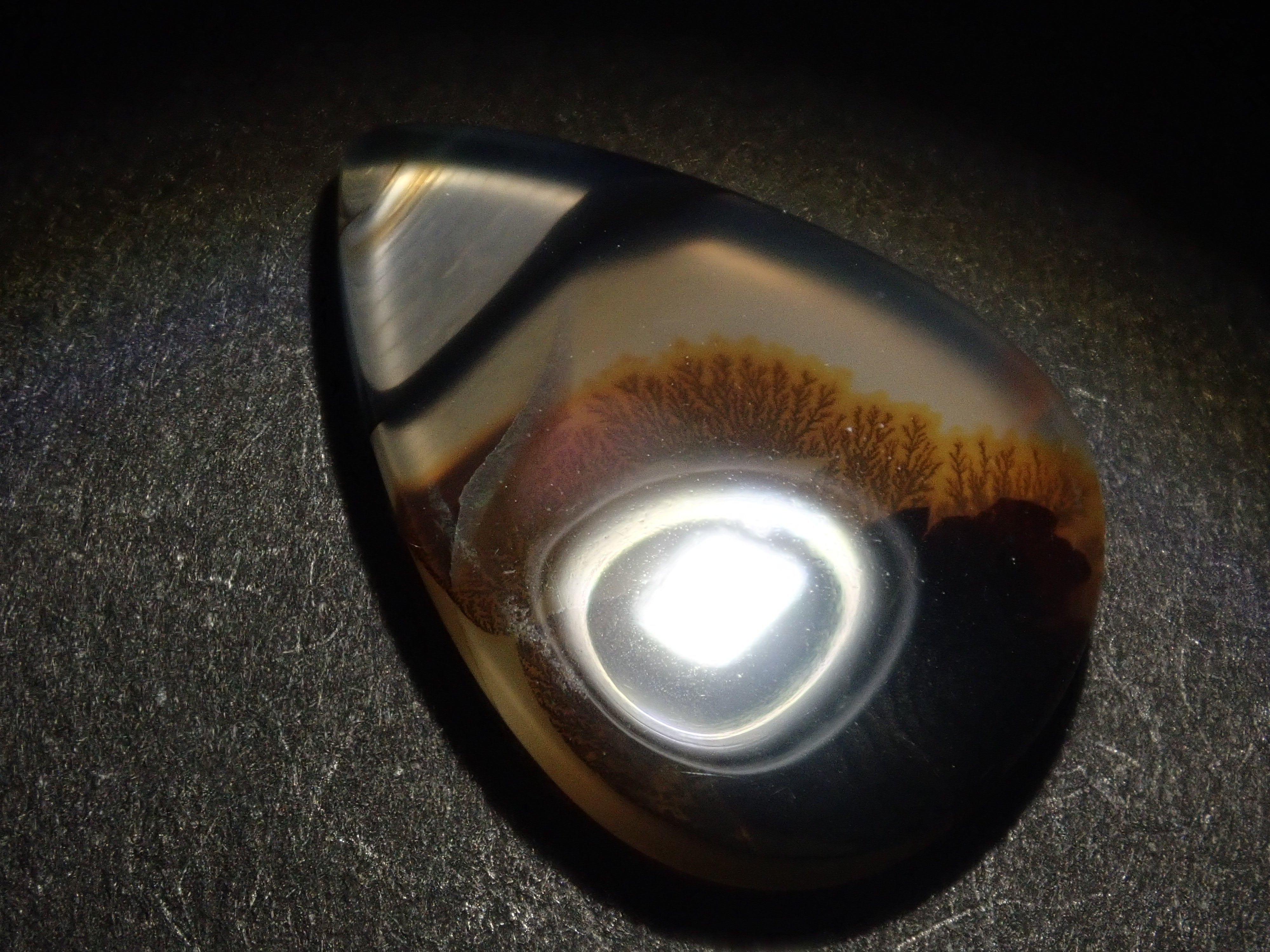 【9/29 22時販売】《限定14石》ブラジル産デンドリティッククォーツ1石ルース(平均7ct)《複数購入割引有》