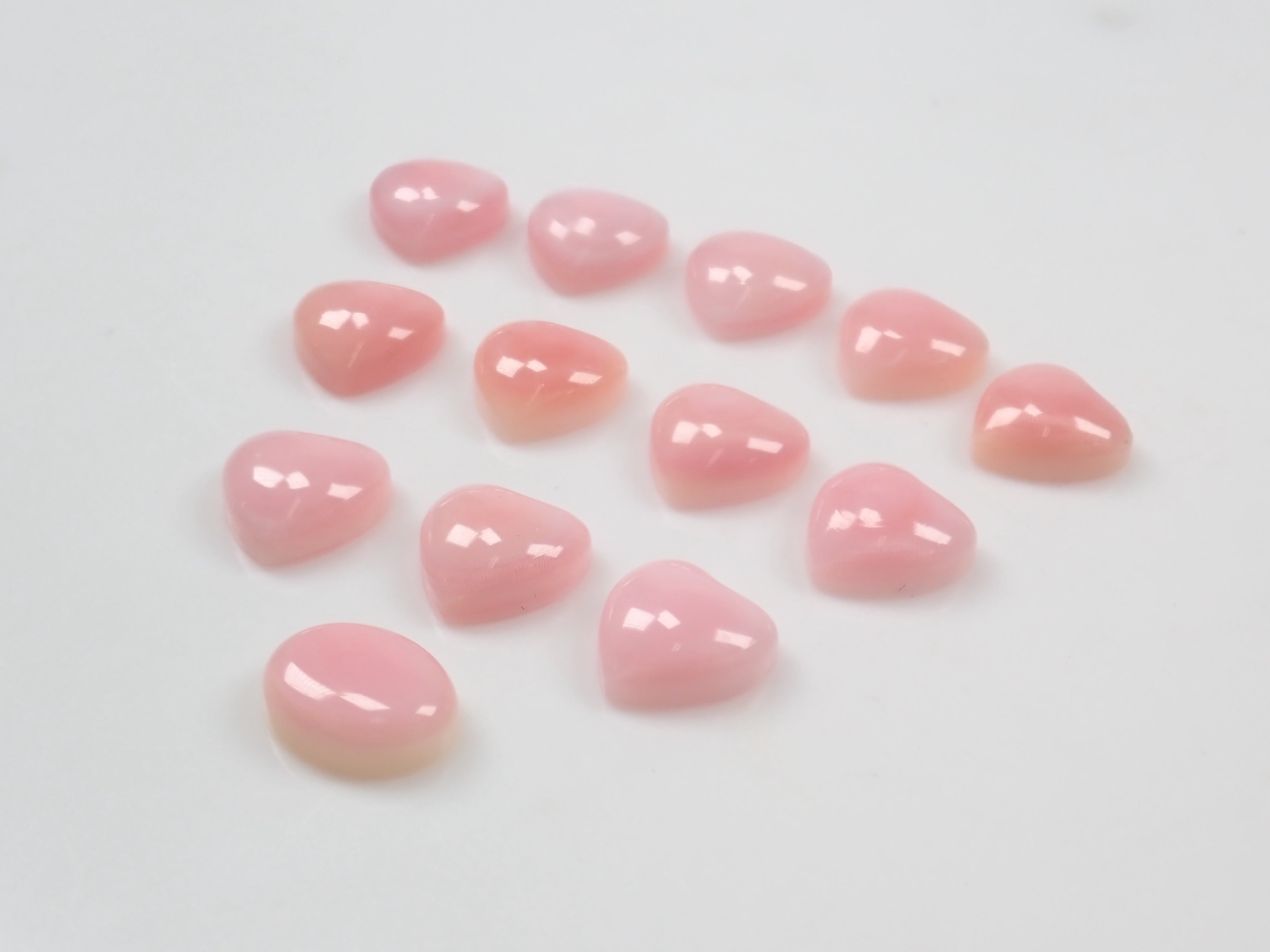 【1/31 22時販売】《限定15石》レアなセミホワイトカラーや火焔模様入り含むドミニカ共和国産コンクパール&シェルガチャ1石ルース《複数購入割引有》