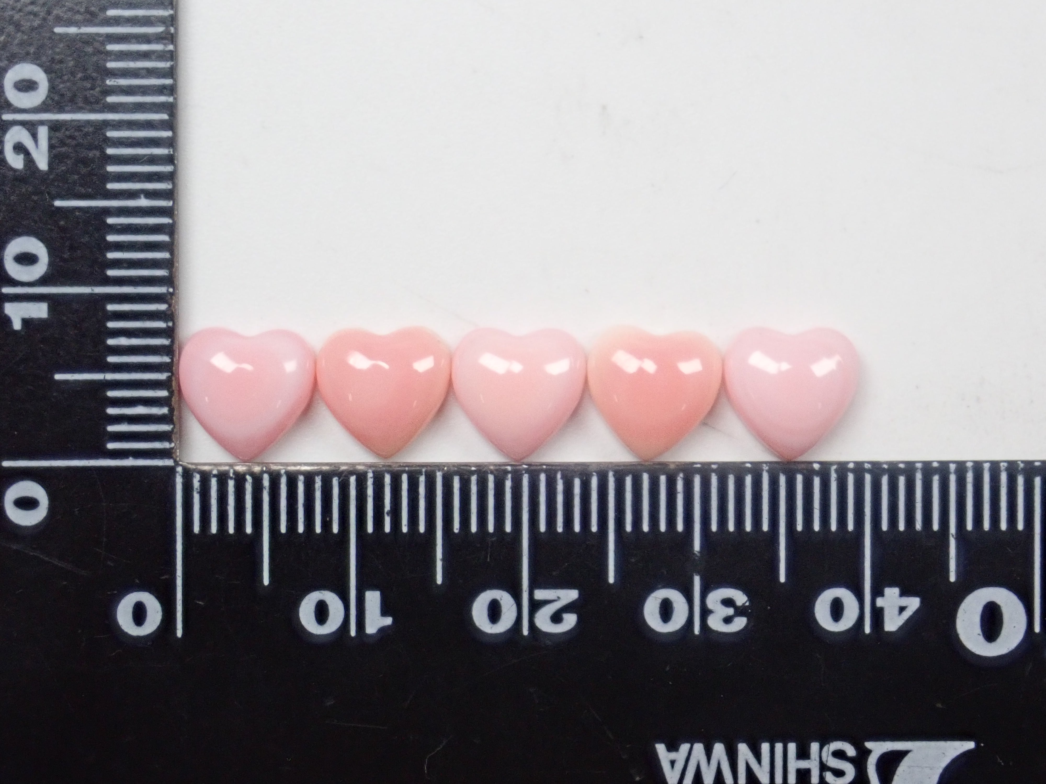 【1/31 22時販売】《限定15石》レアなセミホワイトカラーや火焔模様入り含むドミニカ共和国産コンクパール&シェルガチャ1石ルース《複数購入割引有》