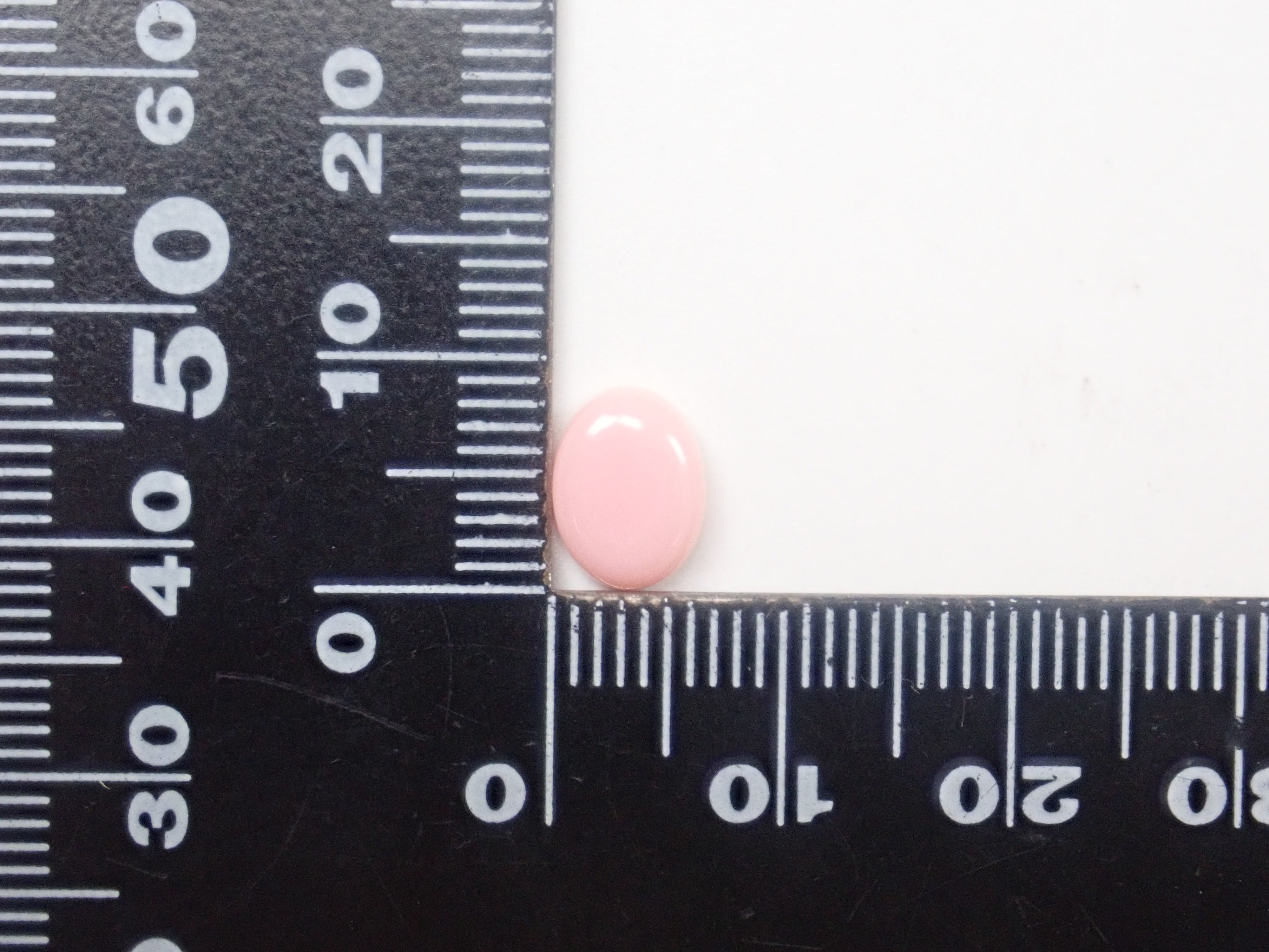 【1/31 22時販売】《限定15石》レアなセミホワイトカラーや火焔模様入り含むドミニカ共和国産コンクパール&シェルガチャ1石ルース《複数購入割引有》