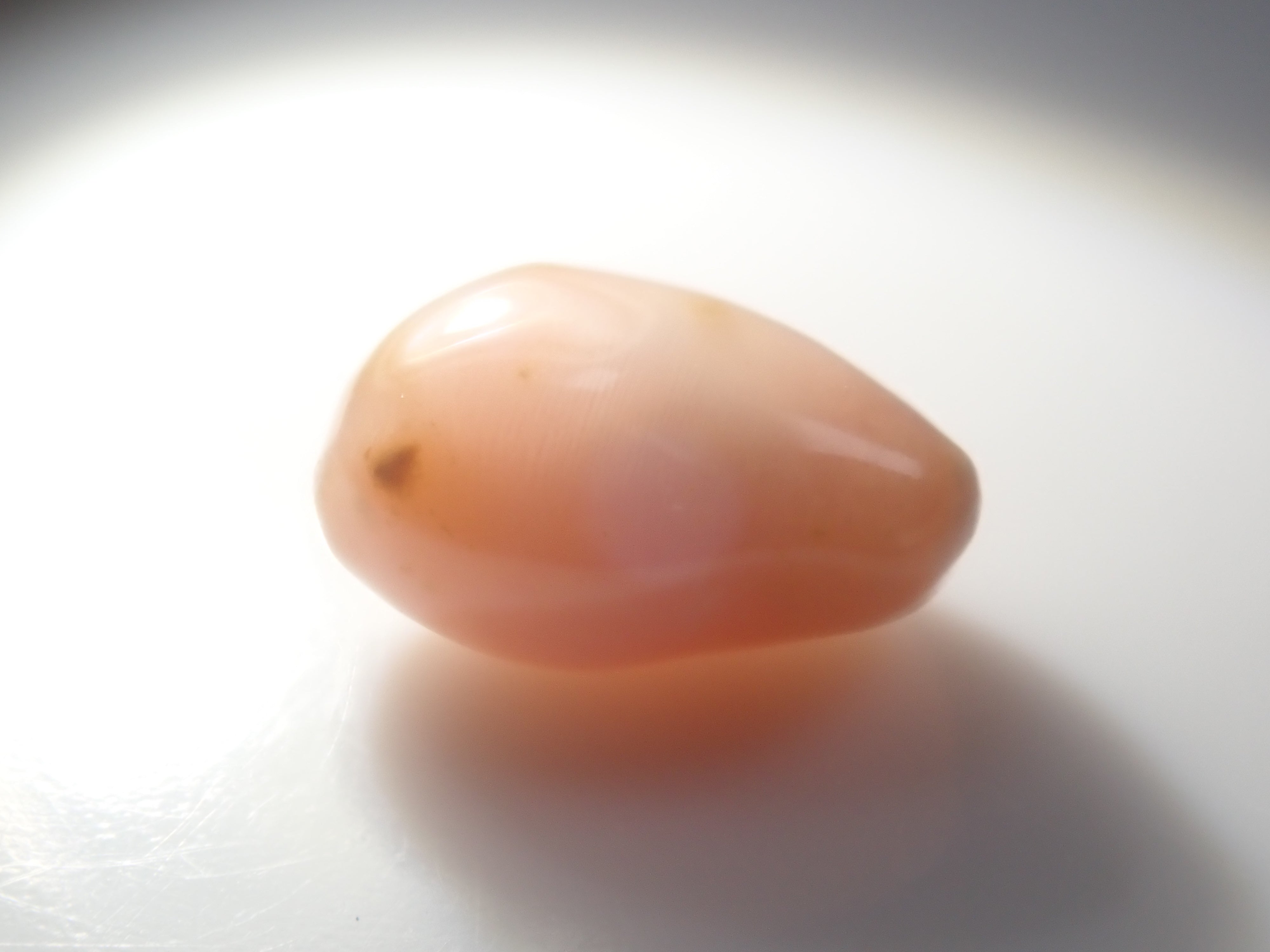 【1/31 22時販売】《限定15石》レアなセミホワイトカラーや火焔模様入り含むドミニカ共和国産コンクパール&シェルガチャ1石ルース《複数購入割引有》