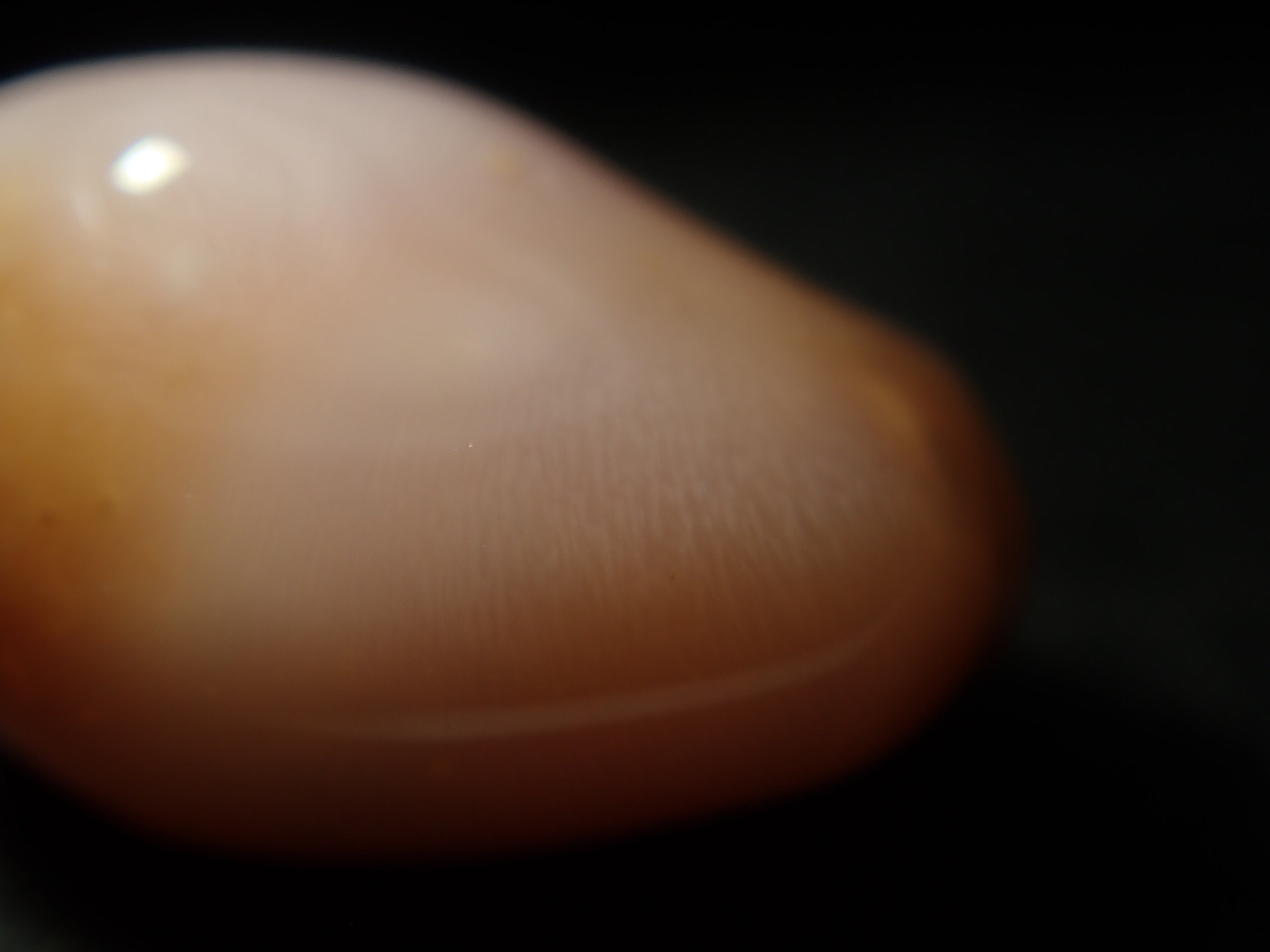 【1/31 22時販売】《限定15石》レアなセミホワイトカラーや火焔模様入り含むドミニカ共和国産コンクパール&シェルガチャ1石ルース《複数購入割引有》