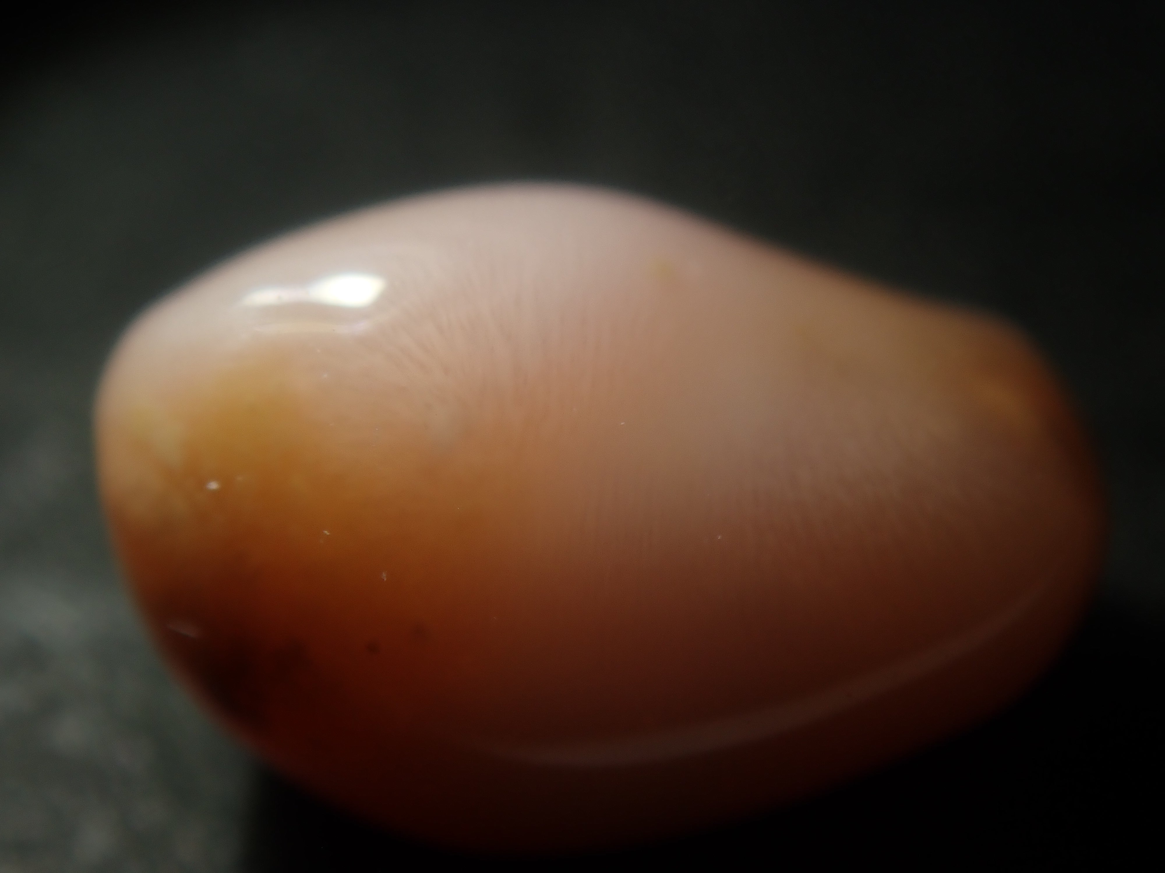 【1/31 22時販売】《限定15石》レアなセミホワイトカラーや火焔模様入り含むドミニカ共和国産コンクパール&シェルガチャ1石ルース《複数購入割引有》