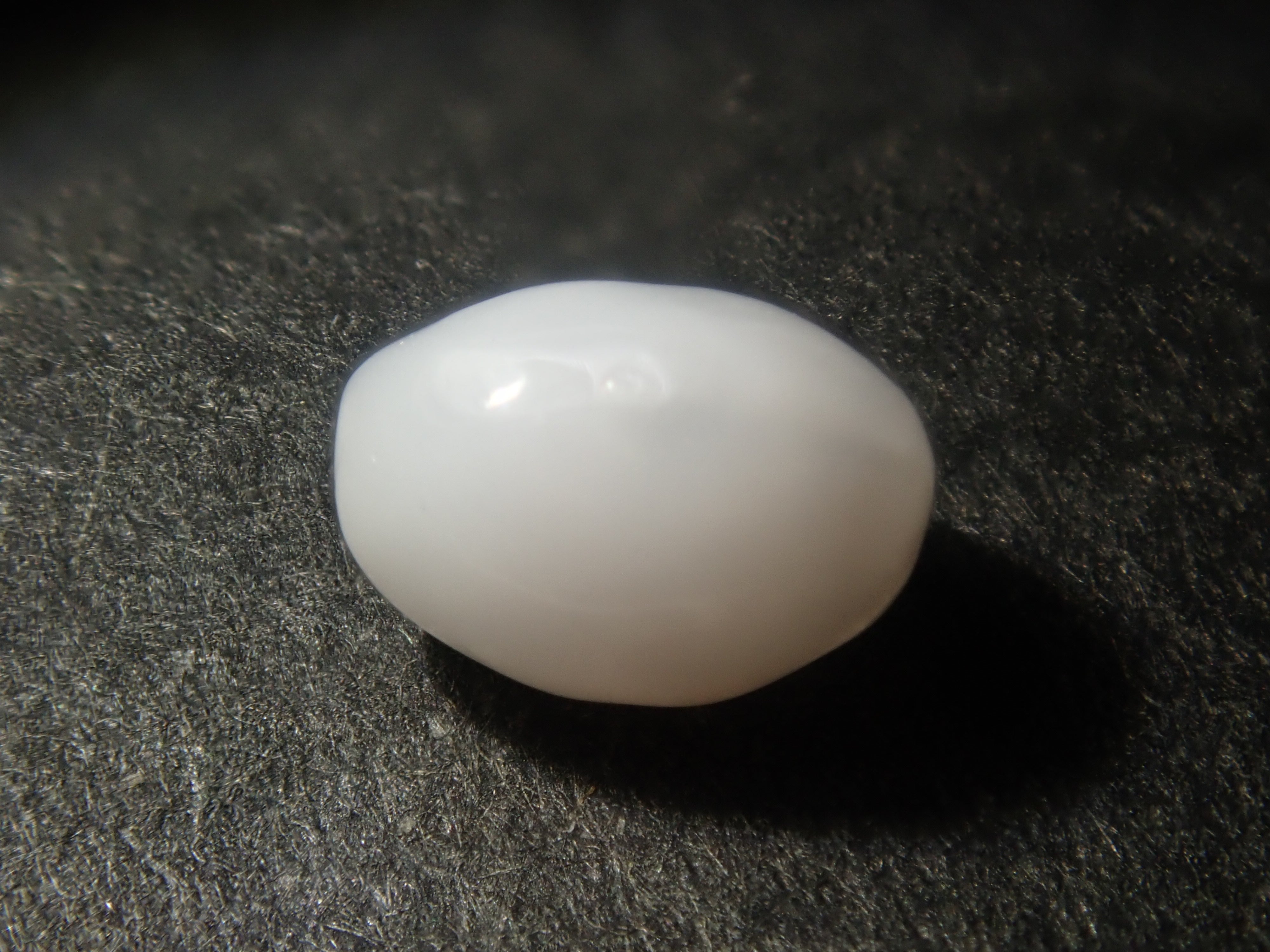 【1/31 22時販売】《限定15石》レアなセミホワイトカラーや火焔模様入り含むドミニカ共和国産コンクパール&シェルガチャ1石ルース《複数購入割引有》