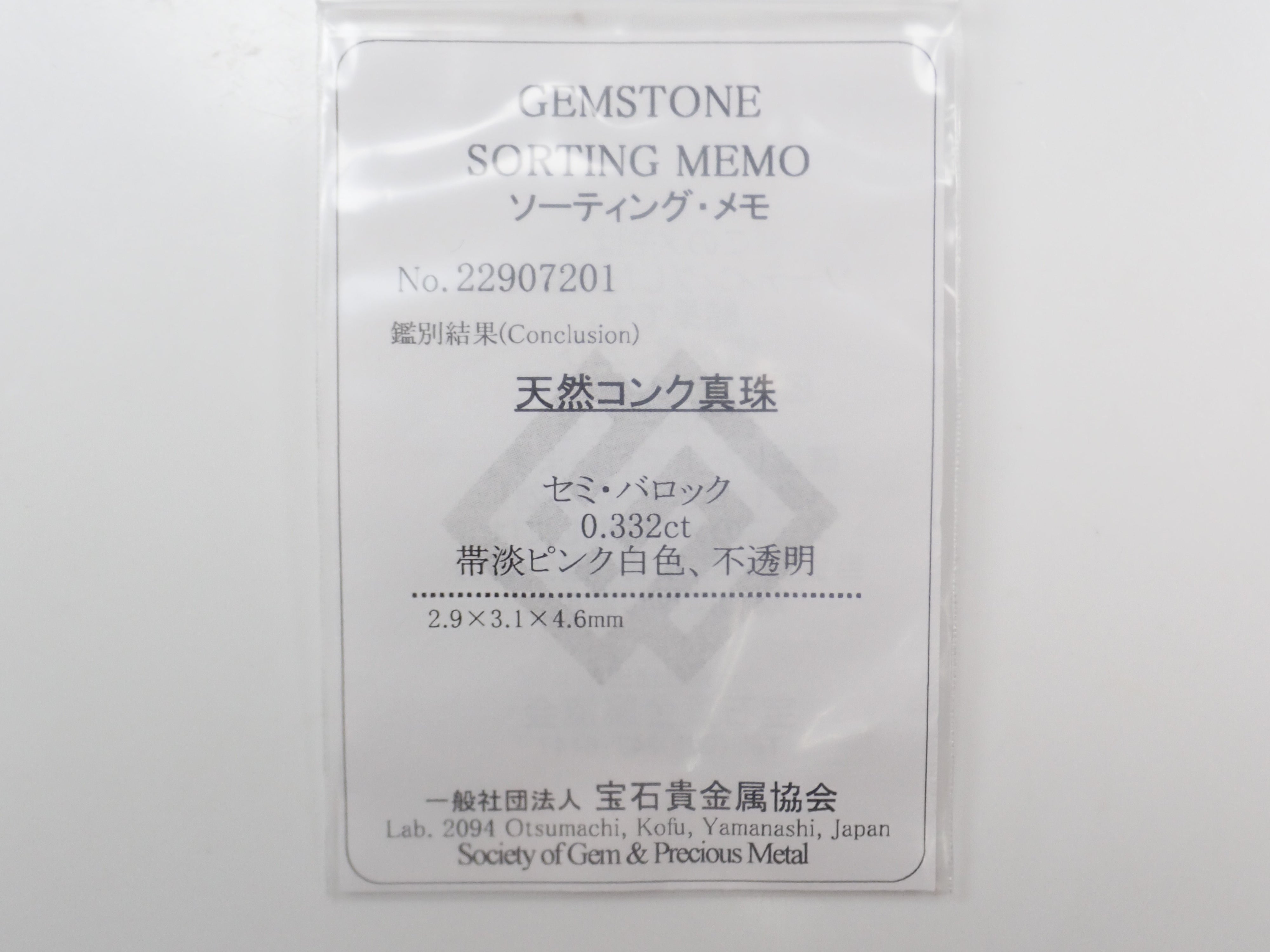 【1/31 22時販売】《限定15石》レアなセミホワイトカラーや火焔模様入り含むドミニカ共和国産コンクパール&シェルガチャ1石ルース《複数購入割引有》