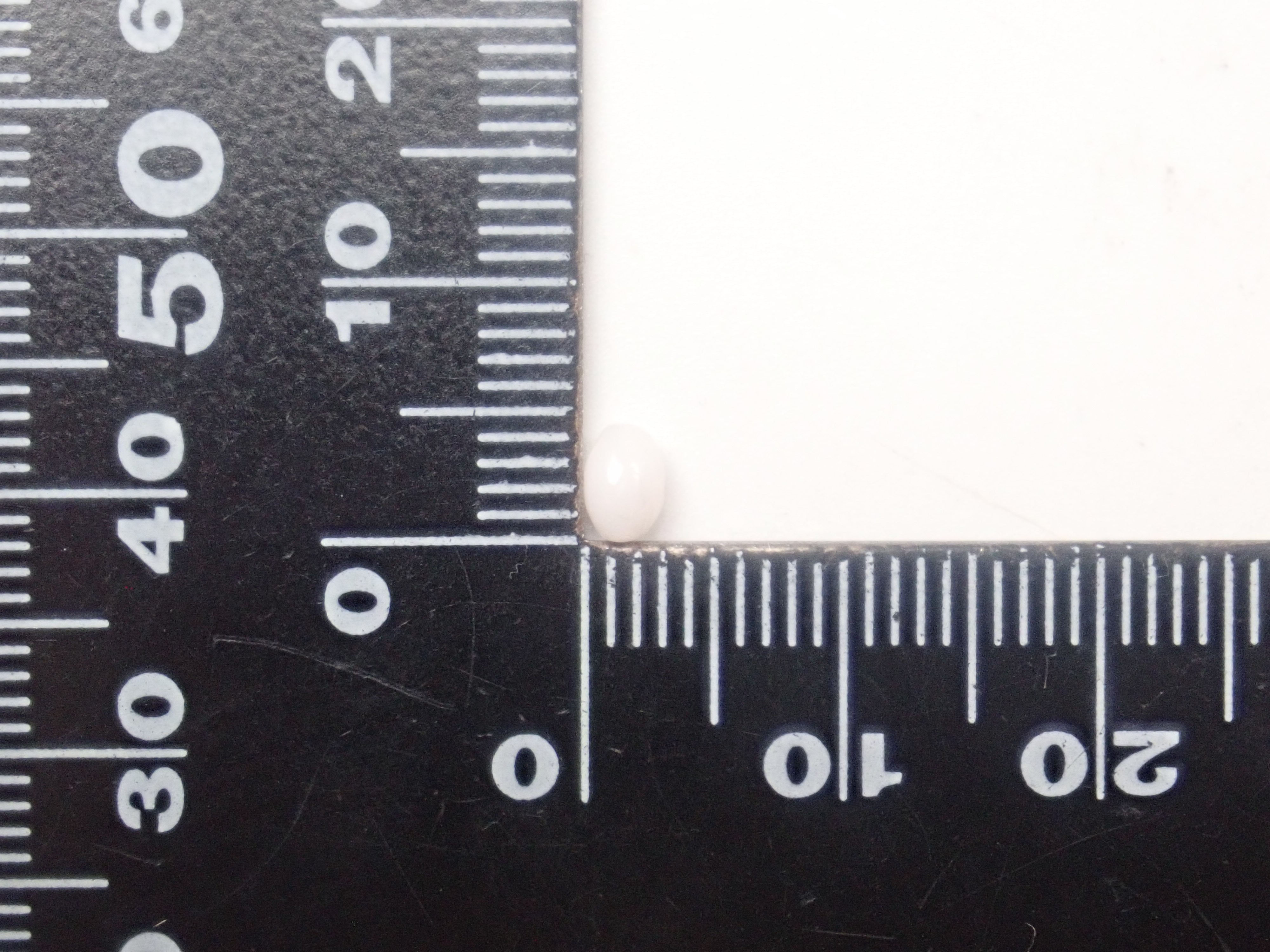 【1/31 22時販売】《限定15石》レアなセミホワイトカラーや火焔模様入り含むドミニカ共和国産コンクパール&シェルガチャ1石ルース《複数購入割引有》