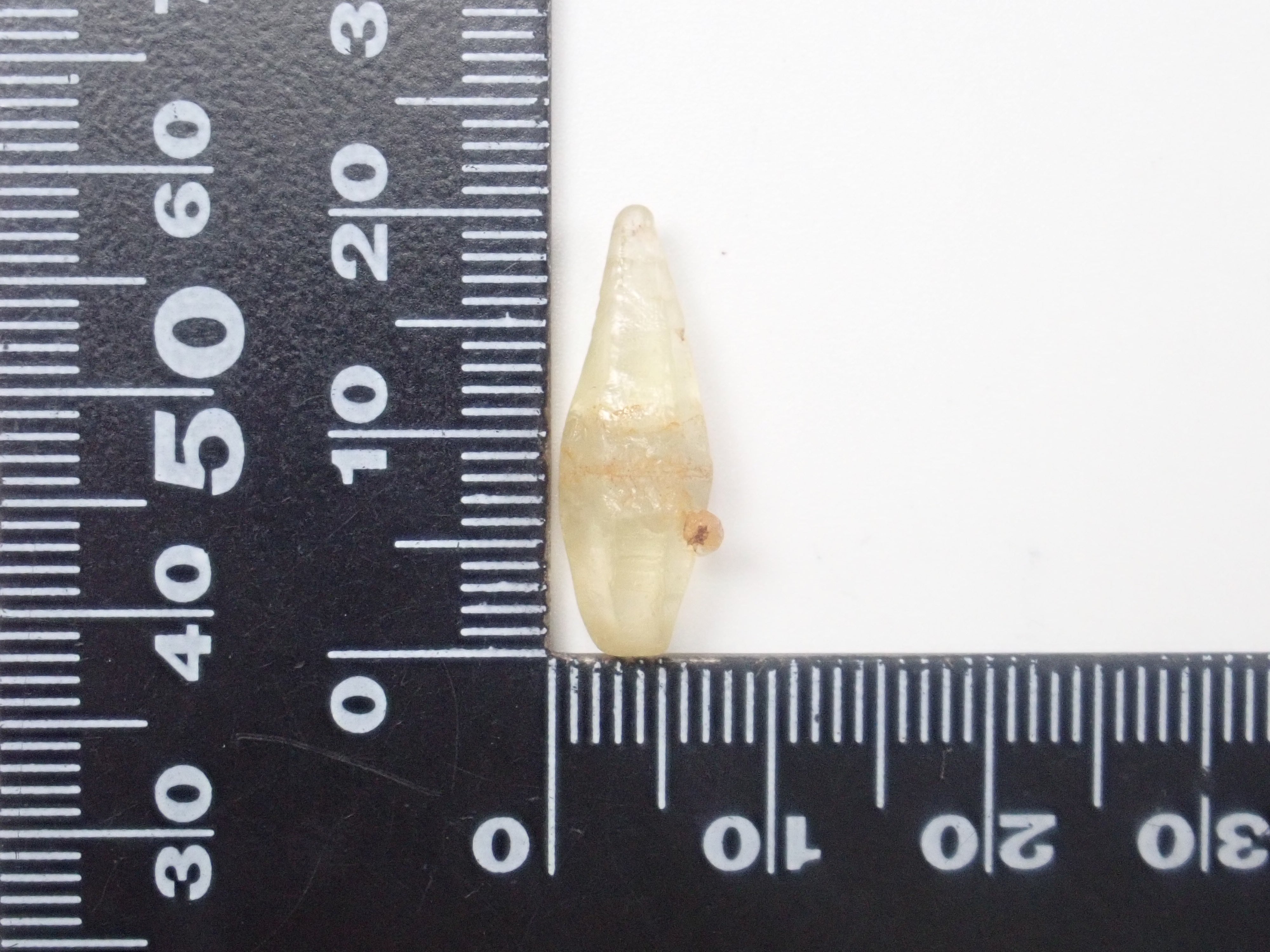 スリランカ産グラスボディ(サファイアクリスタル) 6.939ct原石