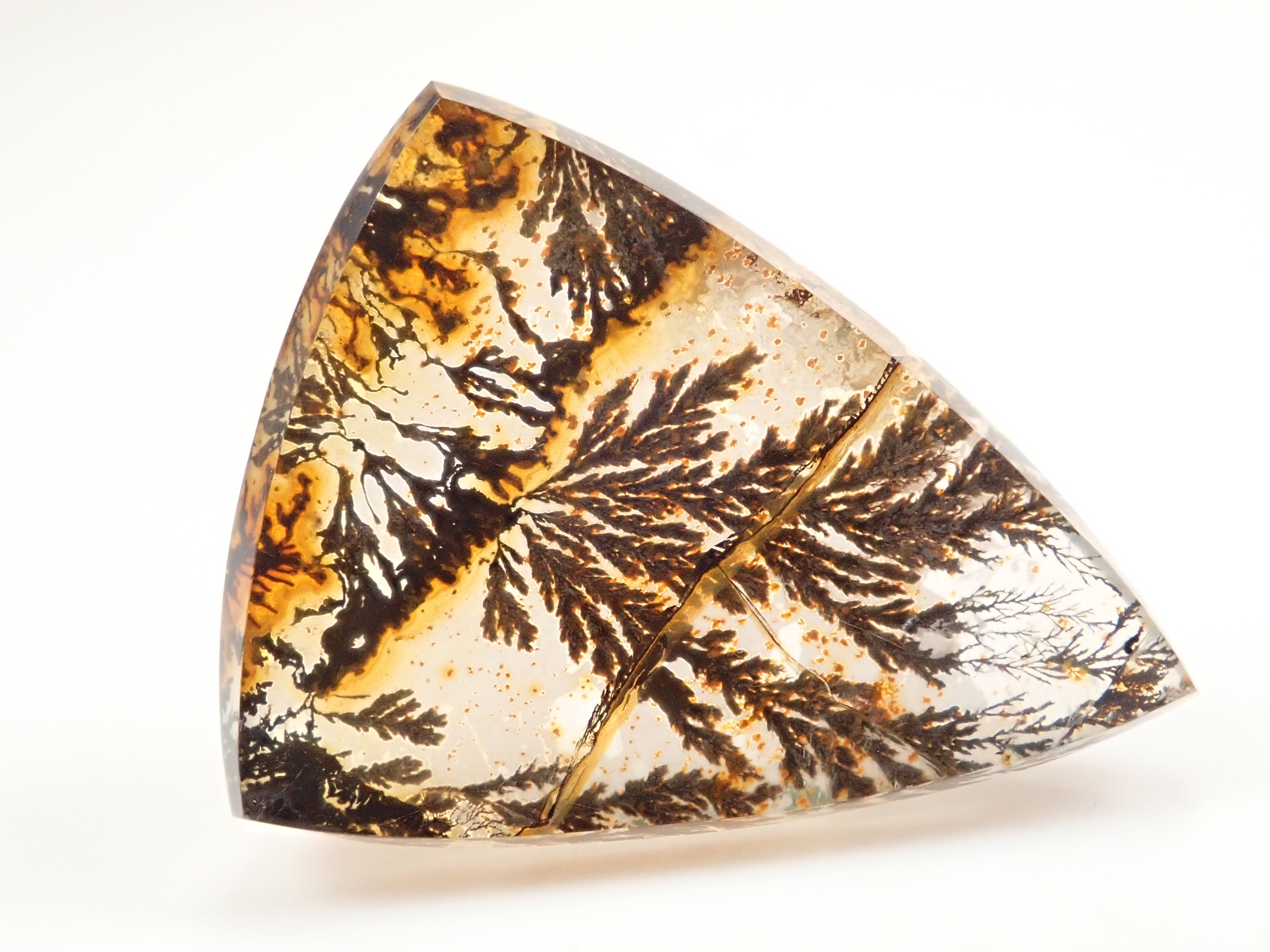 【1/12 22時販売】【山本武氏】ブラジル産デンドリティッククォーツ 25.875ctルース