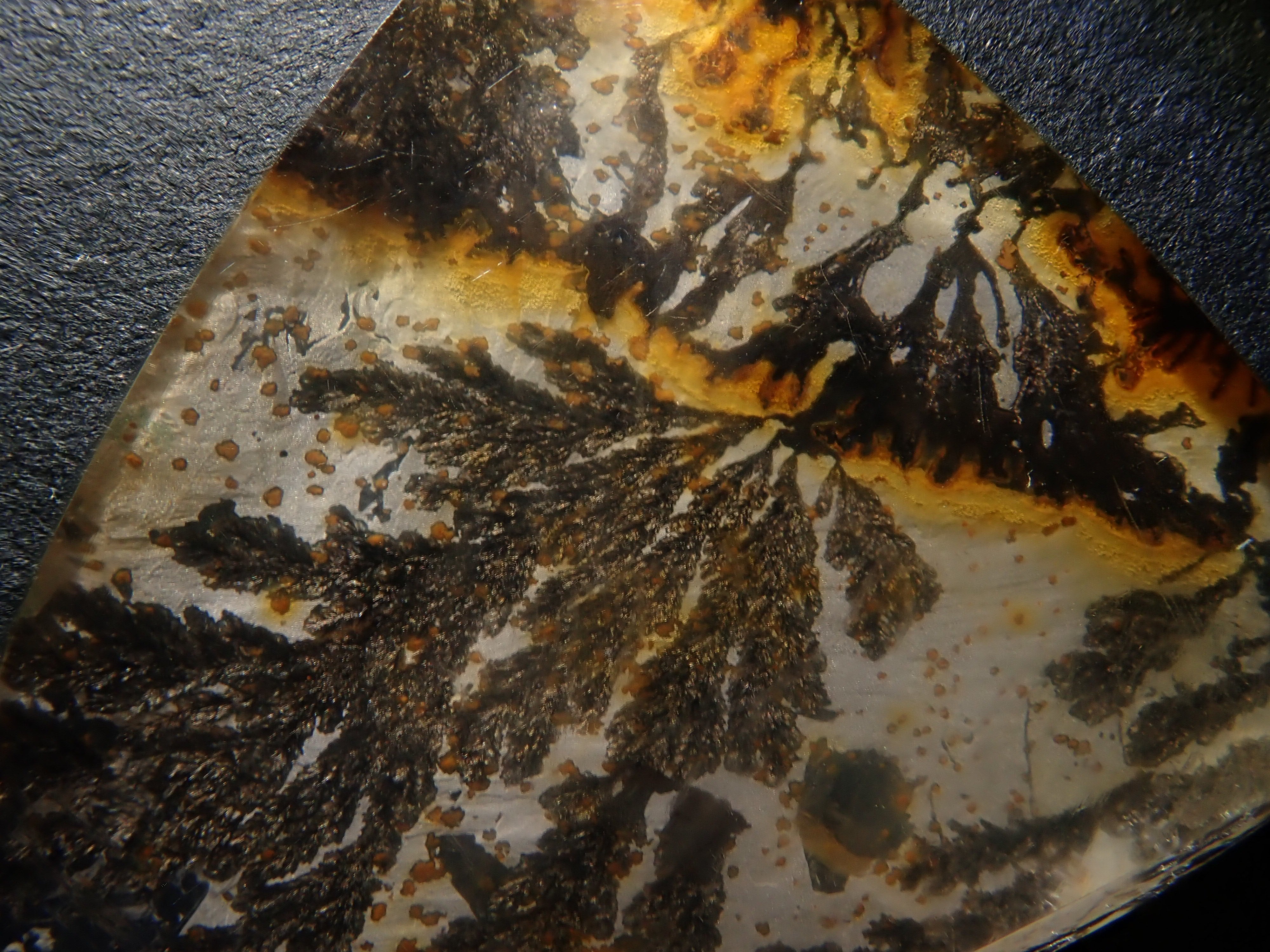 【1/12 22時販売】【山本武氏】ブラジル産デンドリティッククォーツ 25.875ctルース