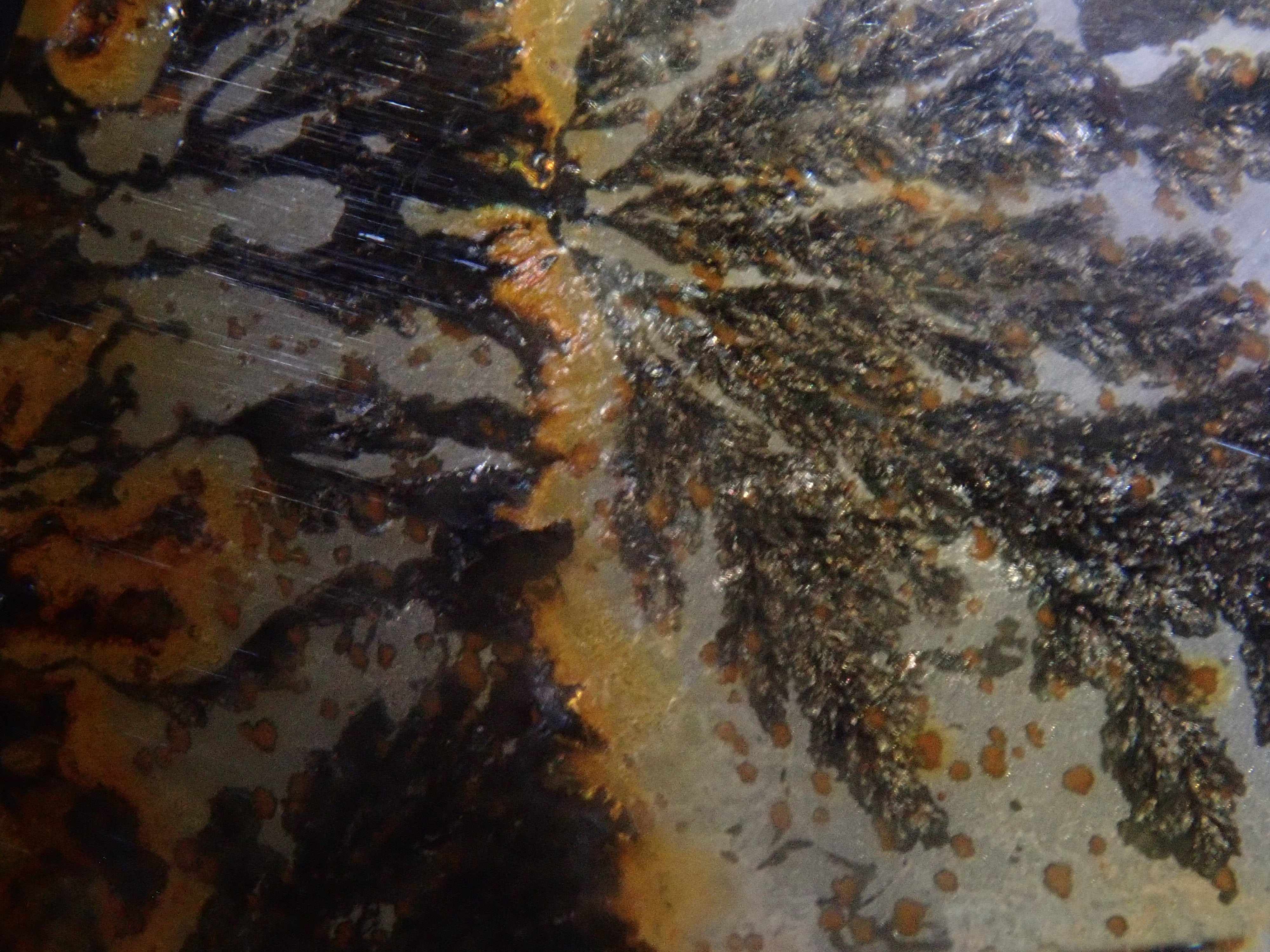 【1/12 22時販売】【山本武氏】ブラジル産デンドリティッククォーツ 25.875ctルース