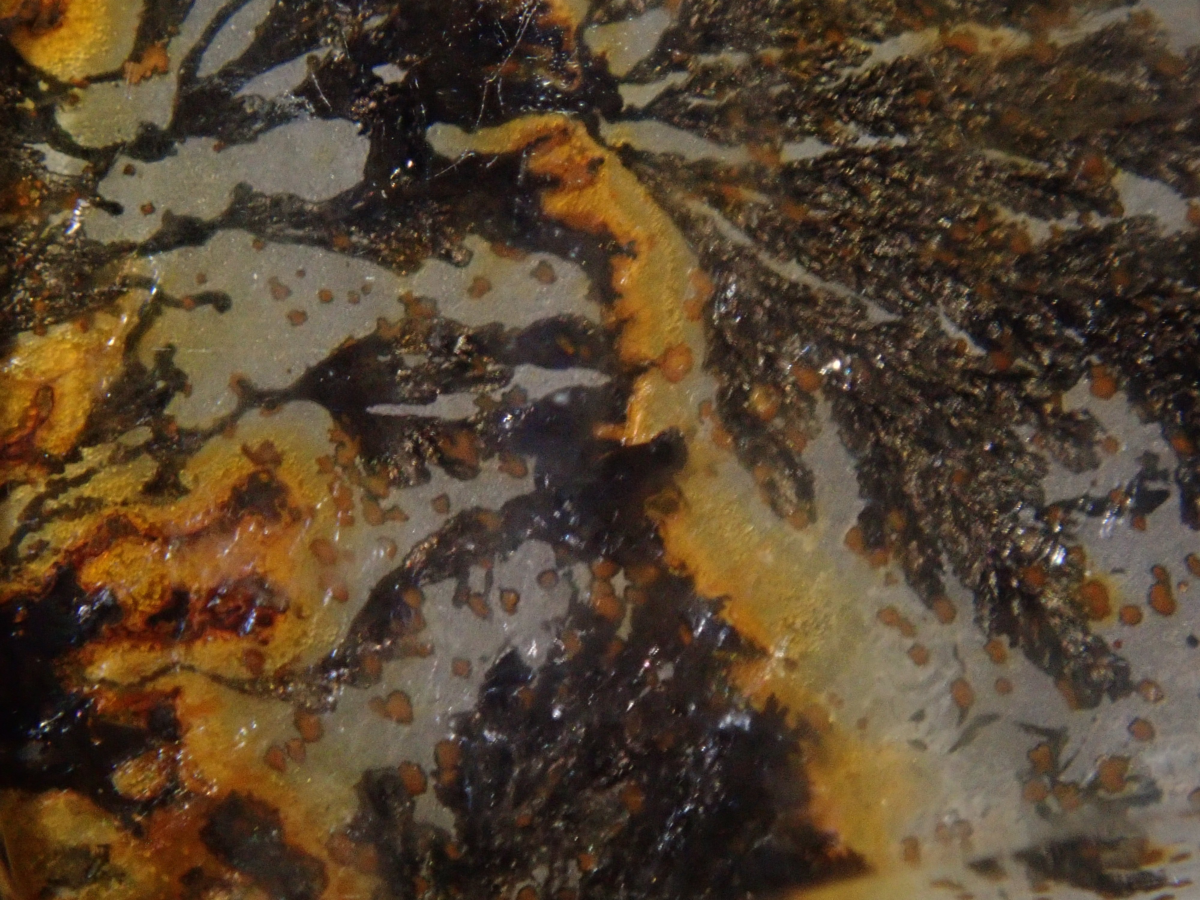 【1/12 22時販売】【山本武氏】ブラジル産デンドリティッククォーツ 25.875ctルース