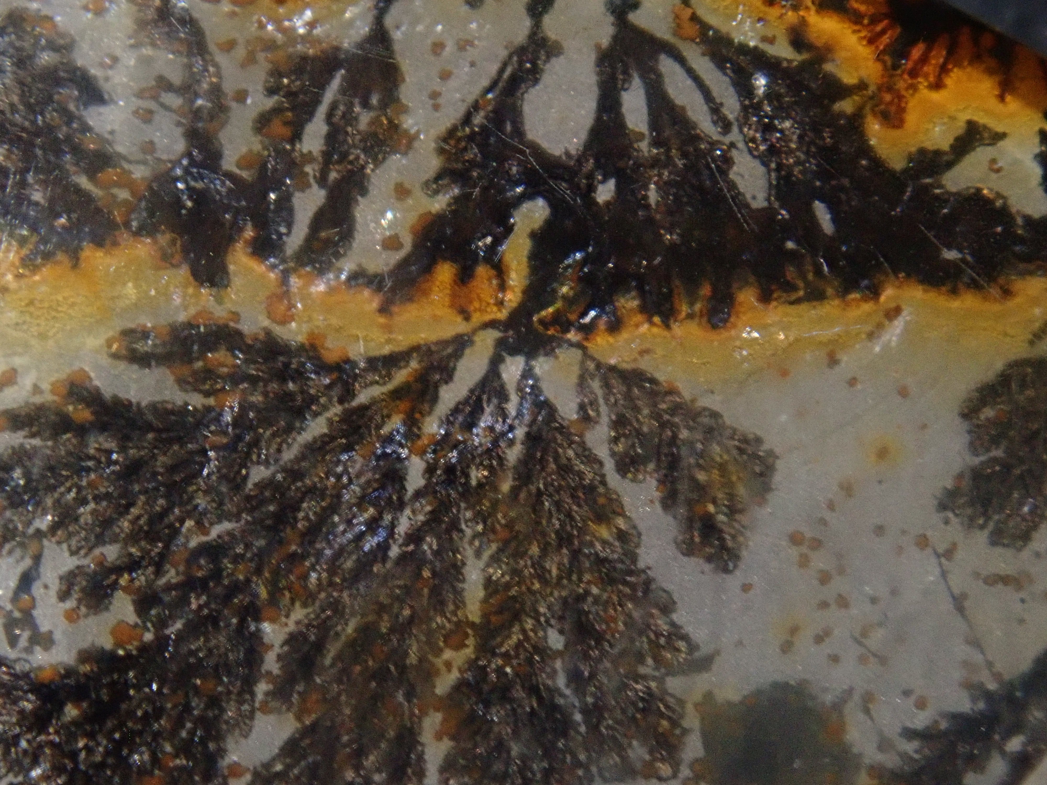 【1/12 22時販売】【山本武氏】ブラジル産デンドリティッククォーツ 25.875ctルース