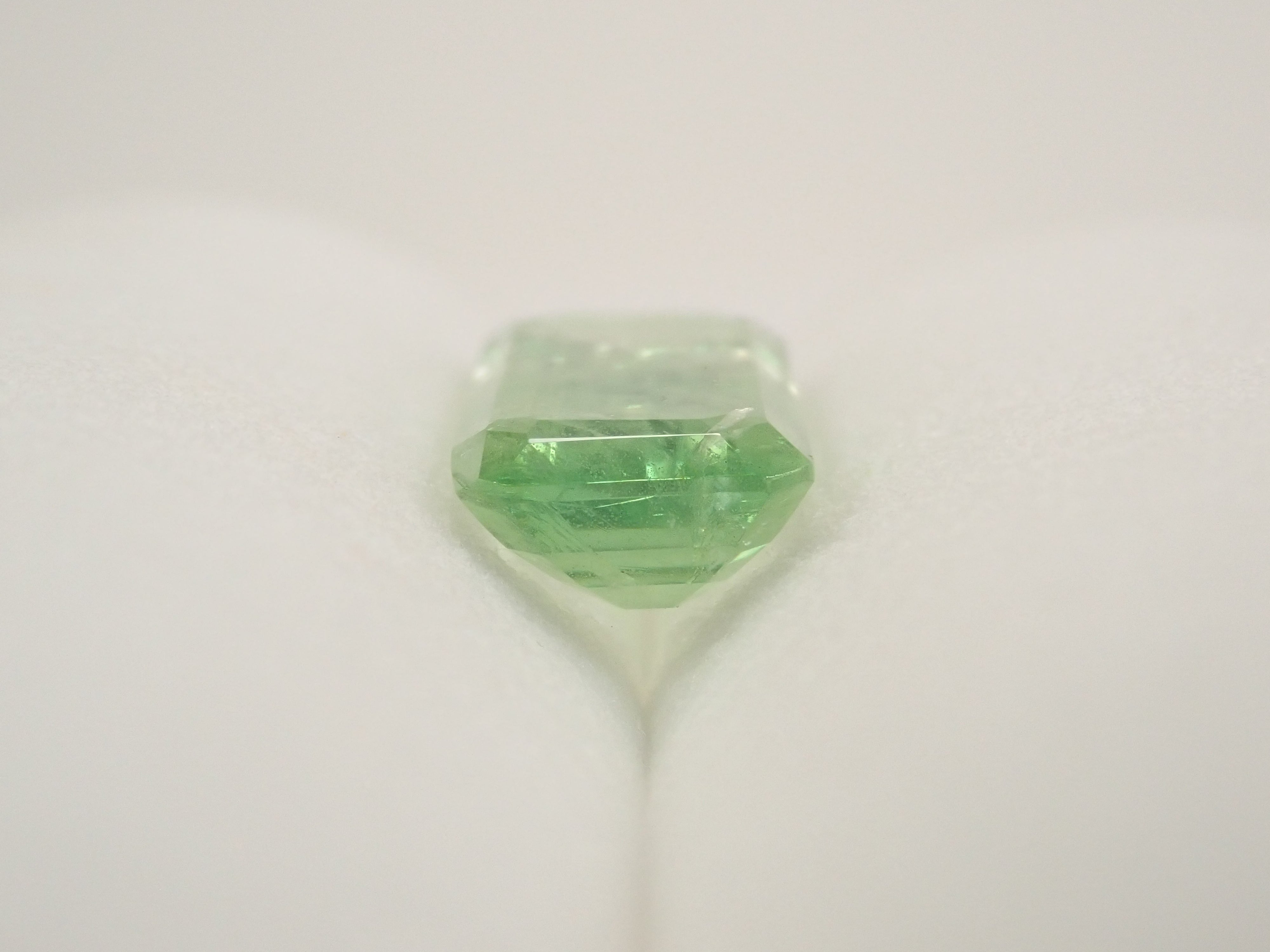 【1月18日晚間10點開售】坦尚尼亞雙色鈣鋁榴石 2.997克拉 散裝