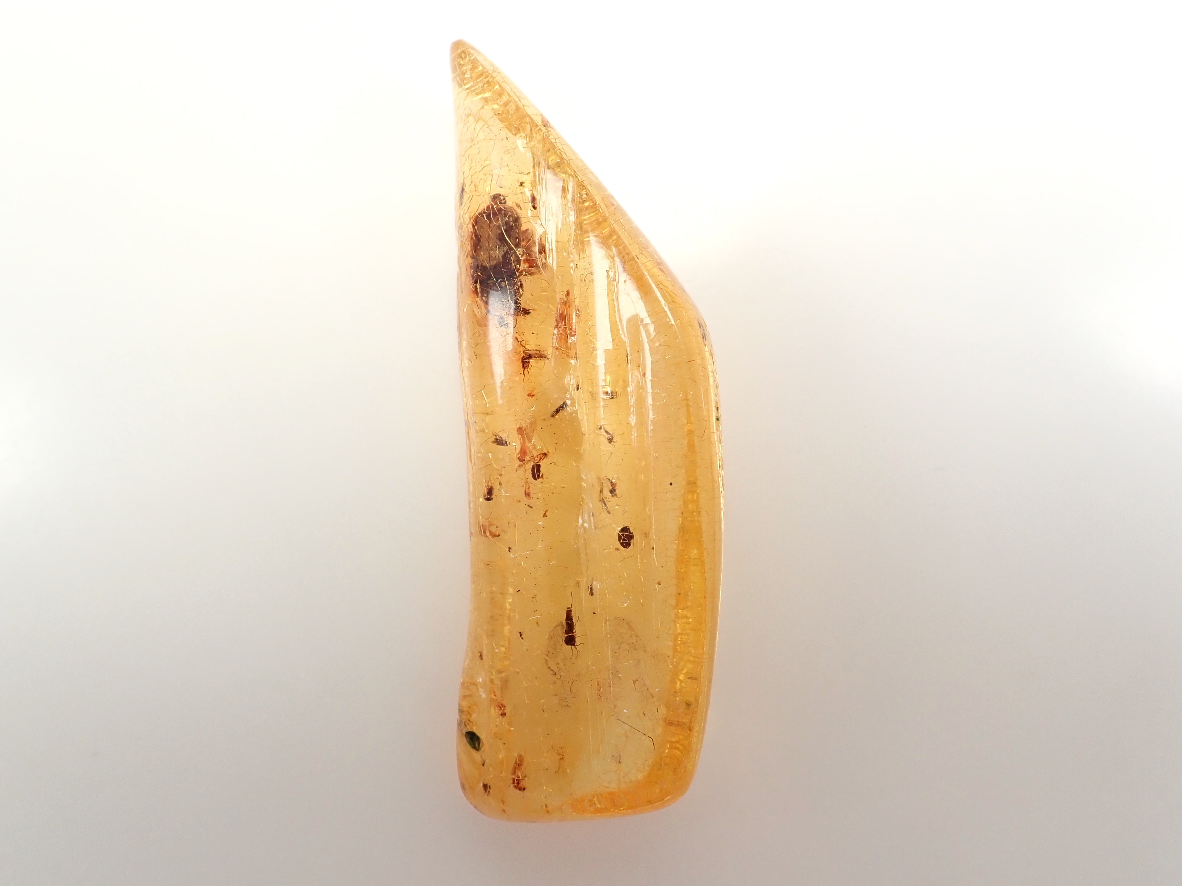 【2/15 22時販売】琥珀(こはく)/コパル 41.008ctルース(虫入り)