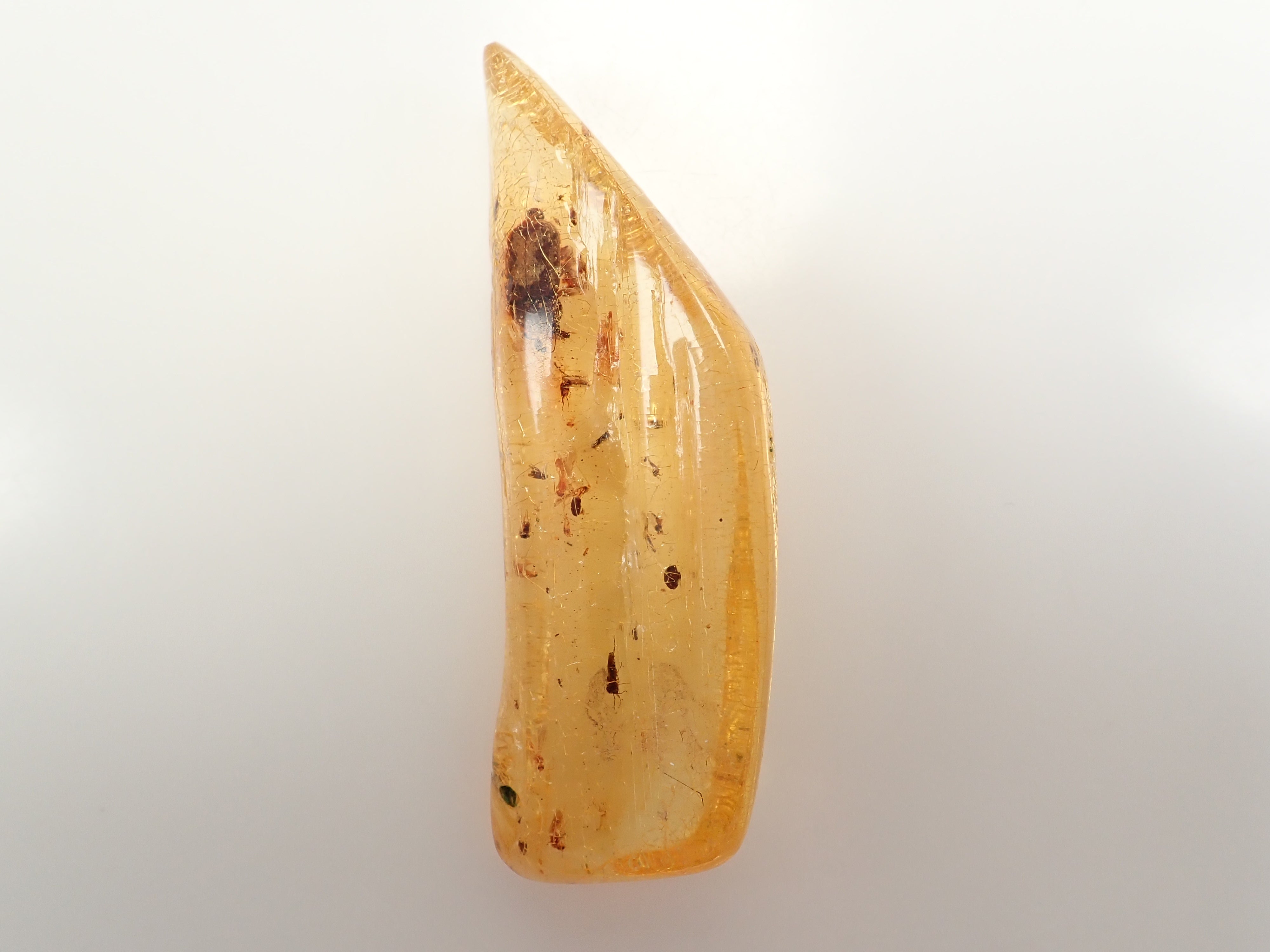 【2/15 22時販売】琥珀(こはく)/コパル 41.008ctルース(虫入り)