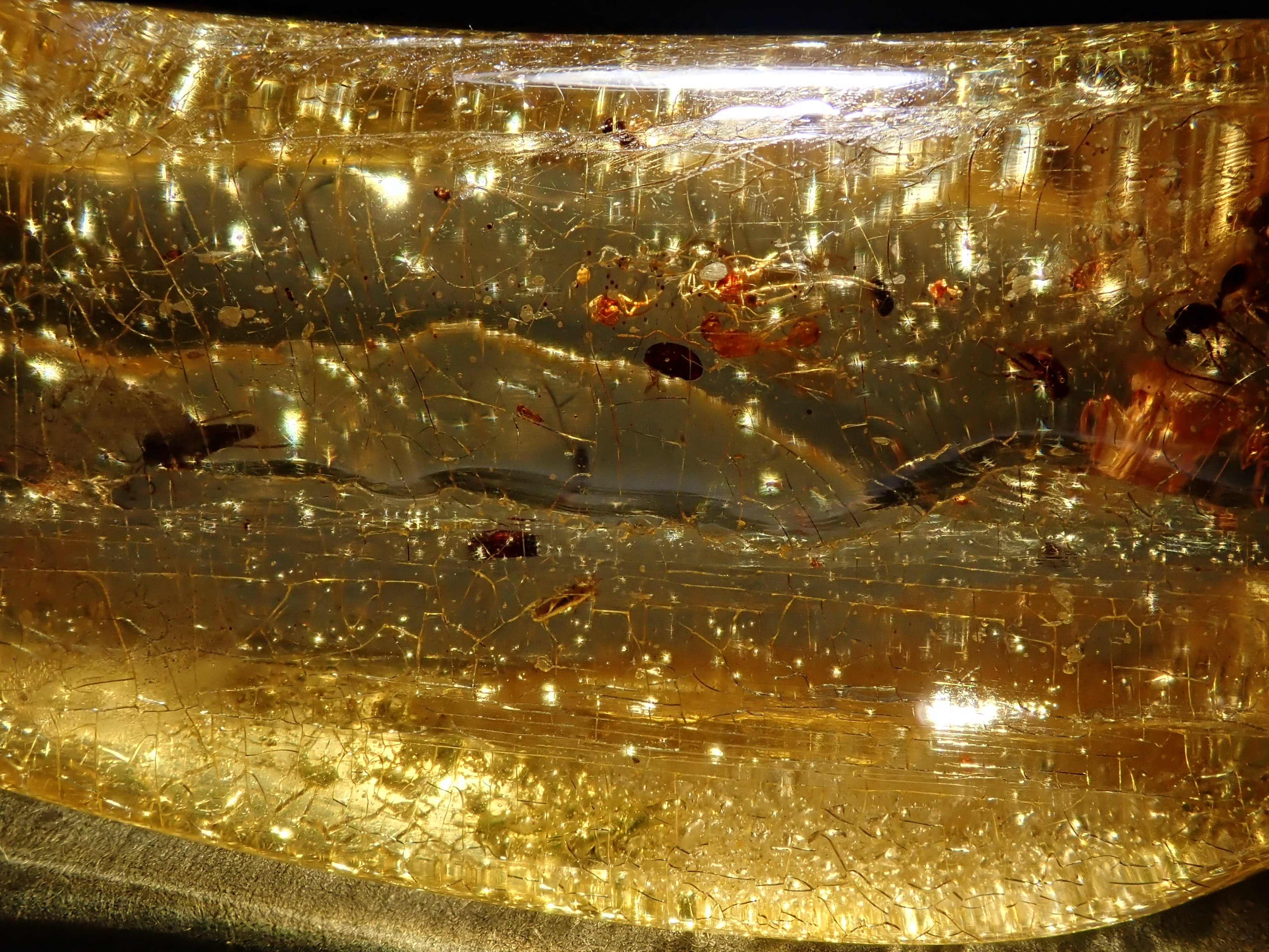 【2/15 22時販売】琥珀(こはく)/コパル 41.008ctルース(虫入り)