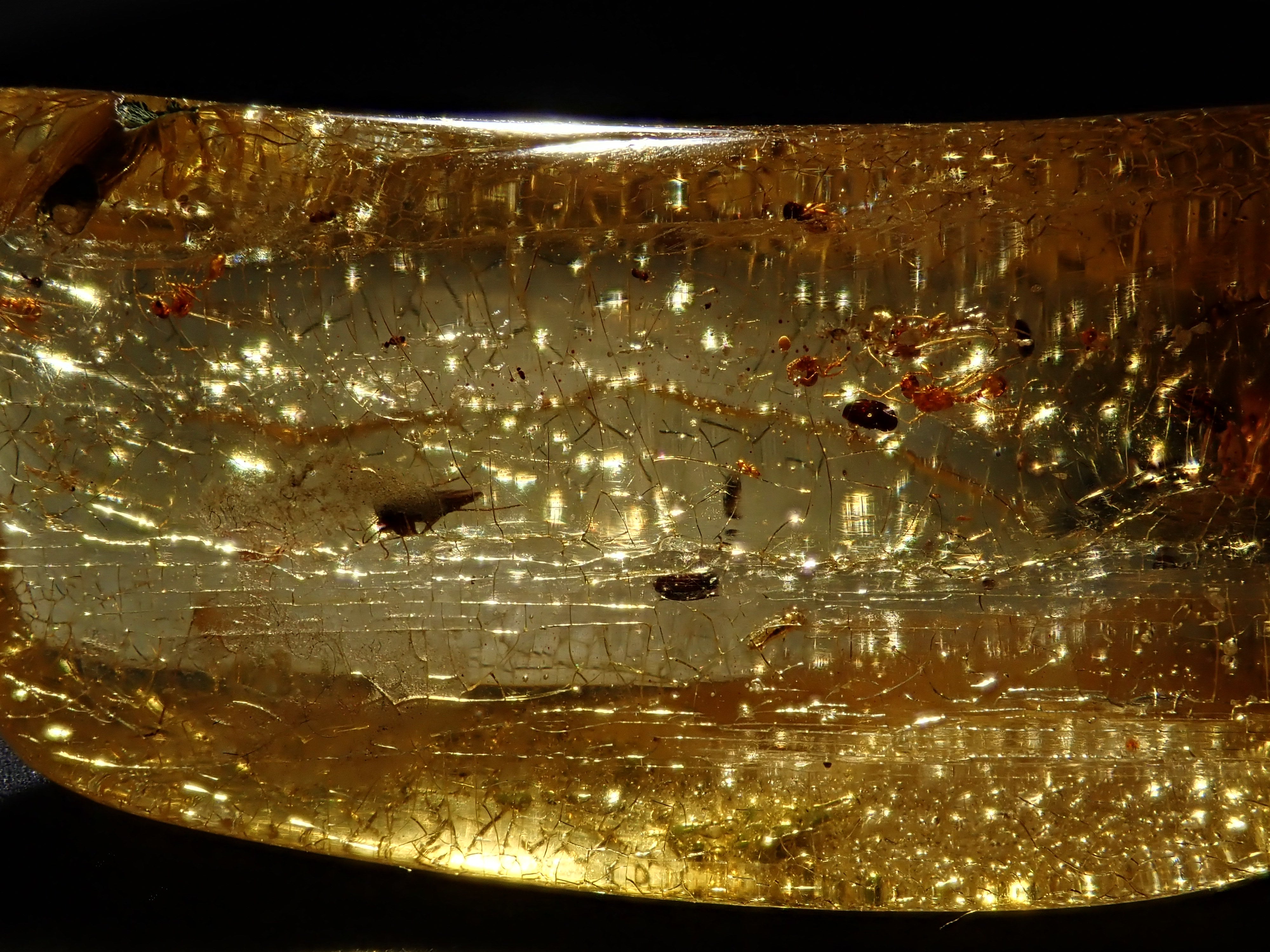 【2/15 22時販売】琥珀(こはく)/コパル 41.008ctルース(虫入り)