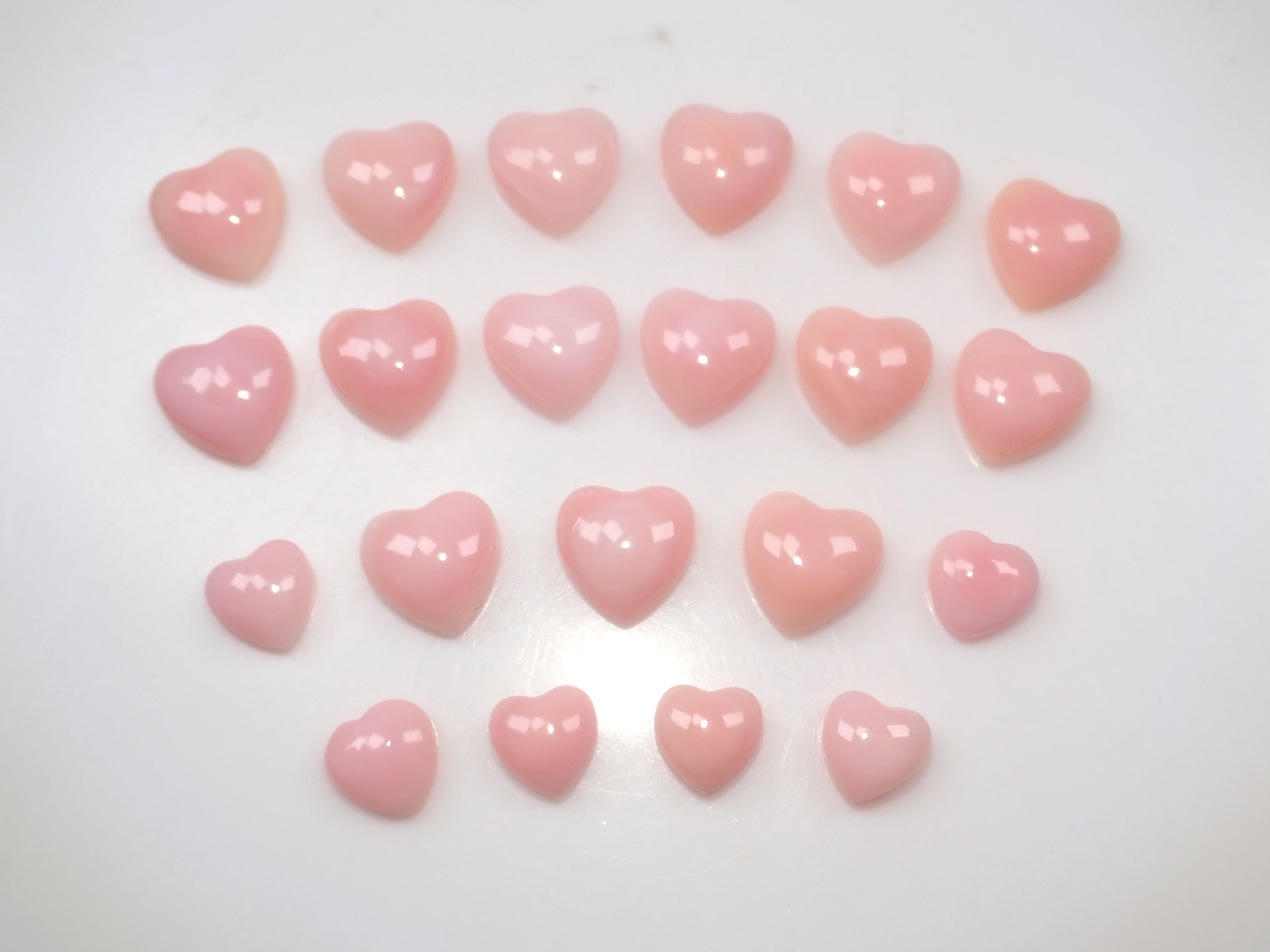 【3/1 22時販売】《限定21石》火焔模様入り含むドミニカ共和国産コンクパール&シェルガチャ1石ルース《複数購入割引有》