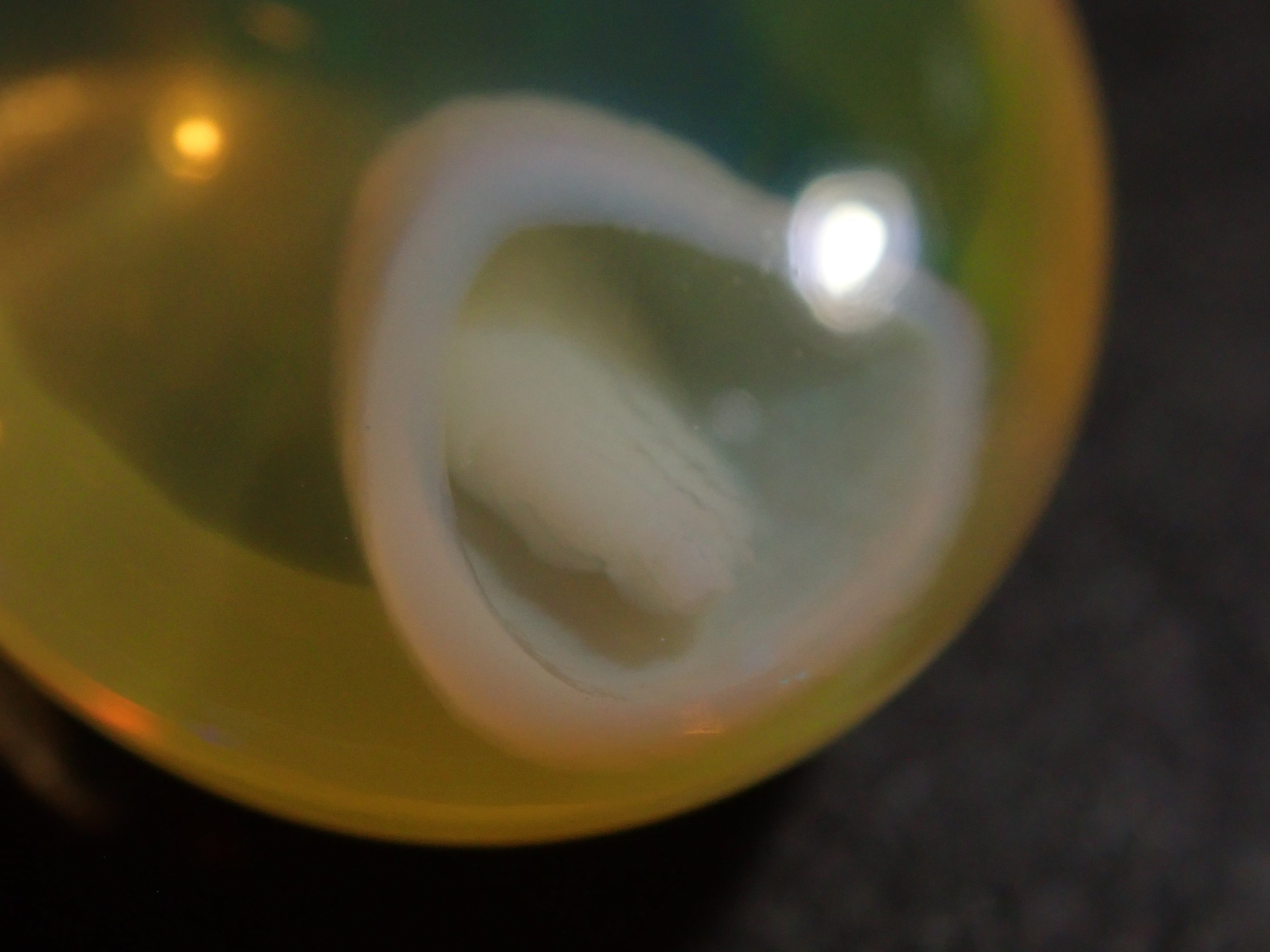 【12562000掲載】メキシコ産エッグインオパール 4.879ctルース