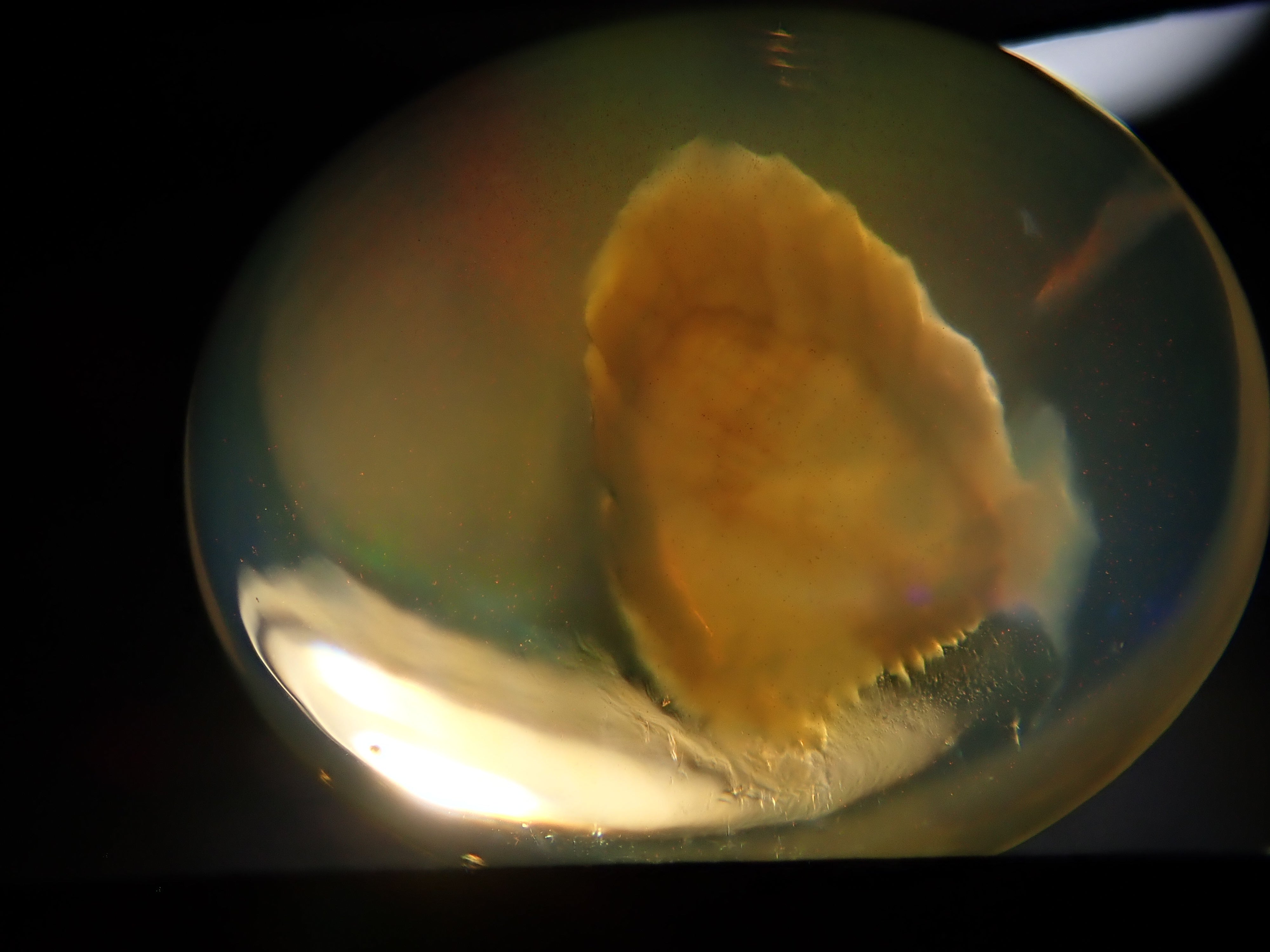 【12562002掲載】メキシコ産エッグインオパール 3.646ctルース