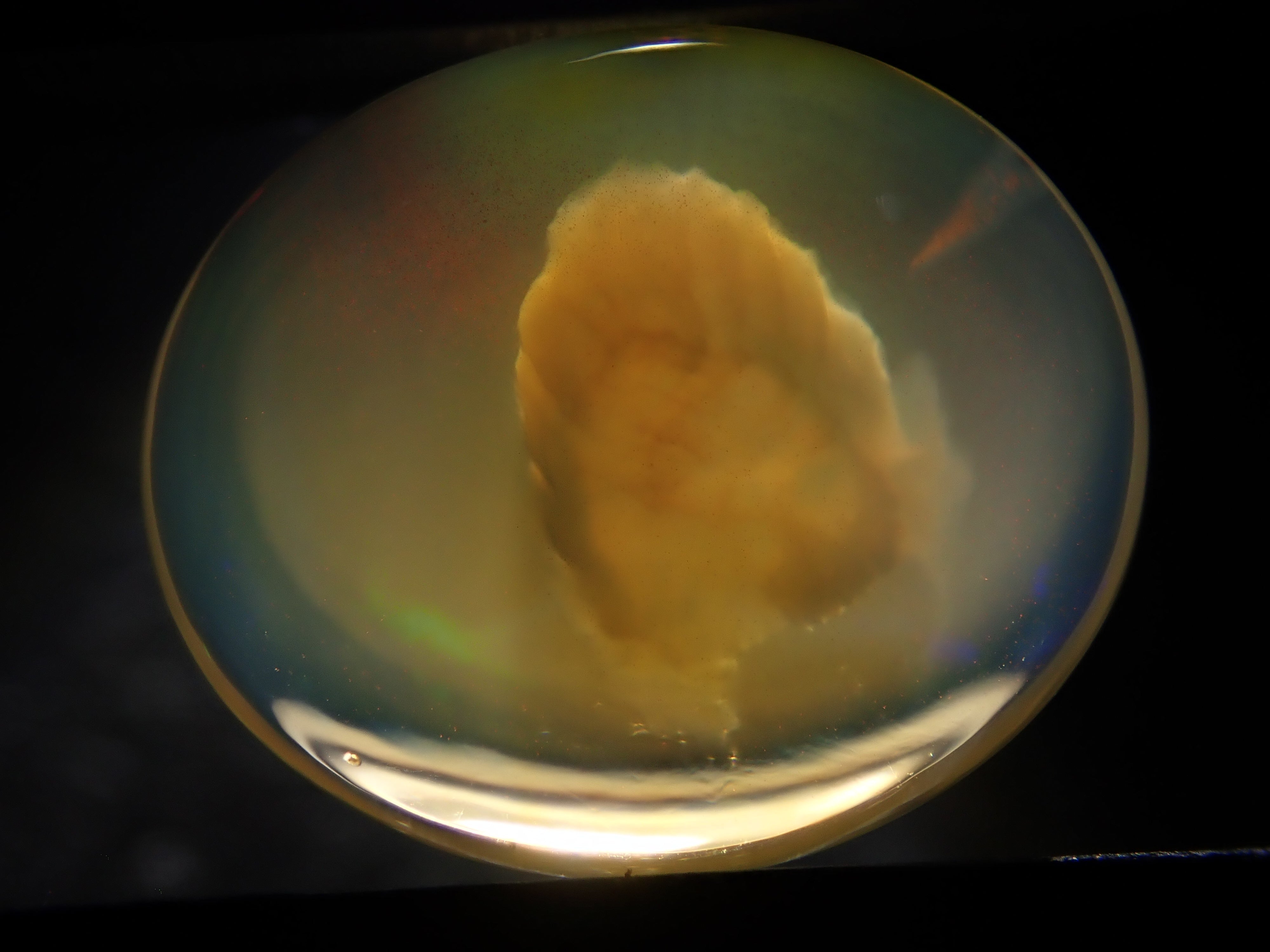 【12562002掲載】メキシコ産エッグインオパール 3.646ctルース