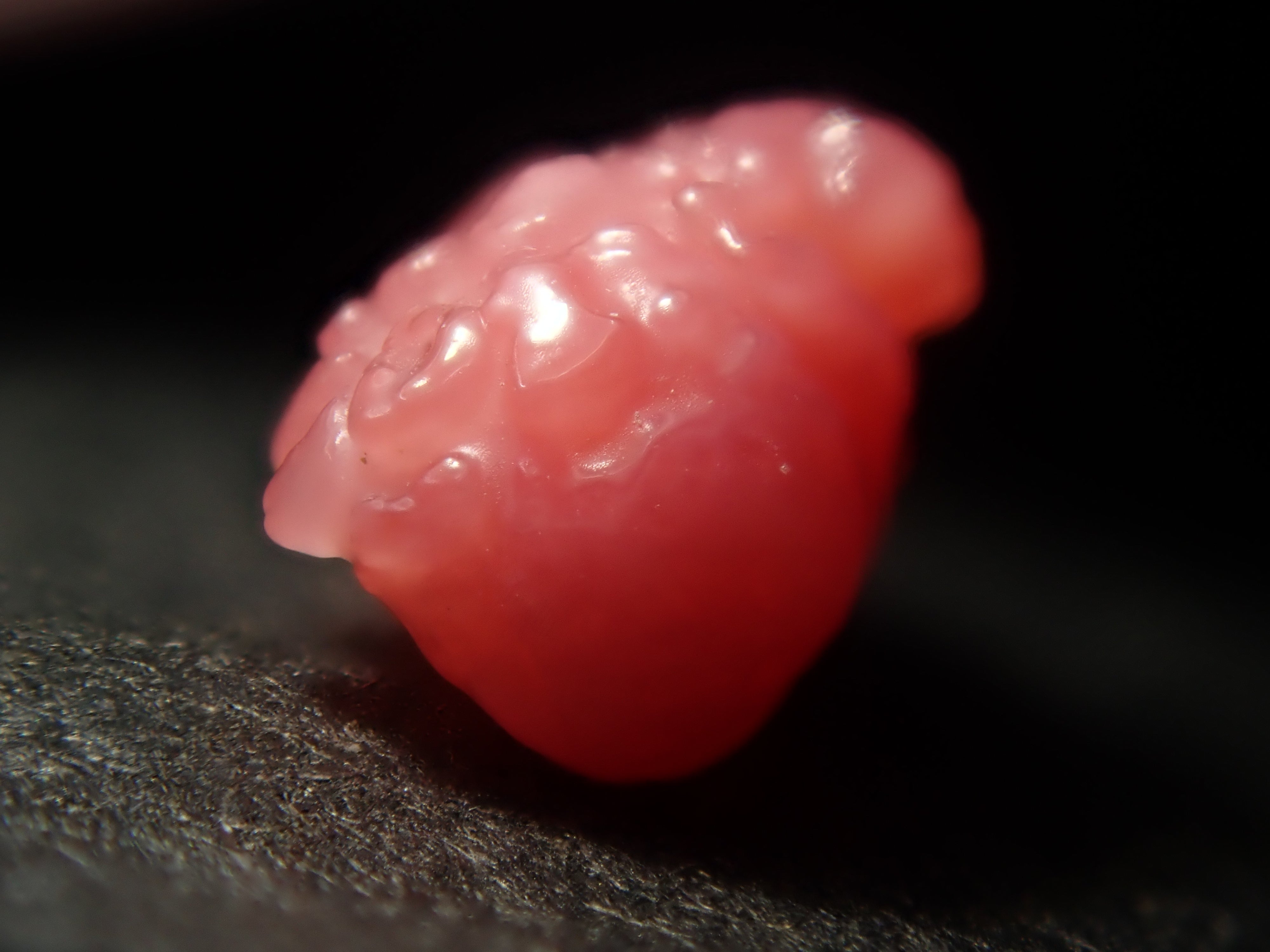 【3/1 22時販売】《限定21石》火焔模様入り含むドミニカ共和国産コンクパール&シェルガチャ1石ルース《複数購入割引有》