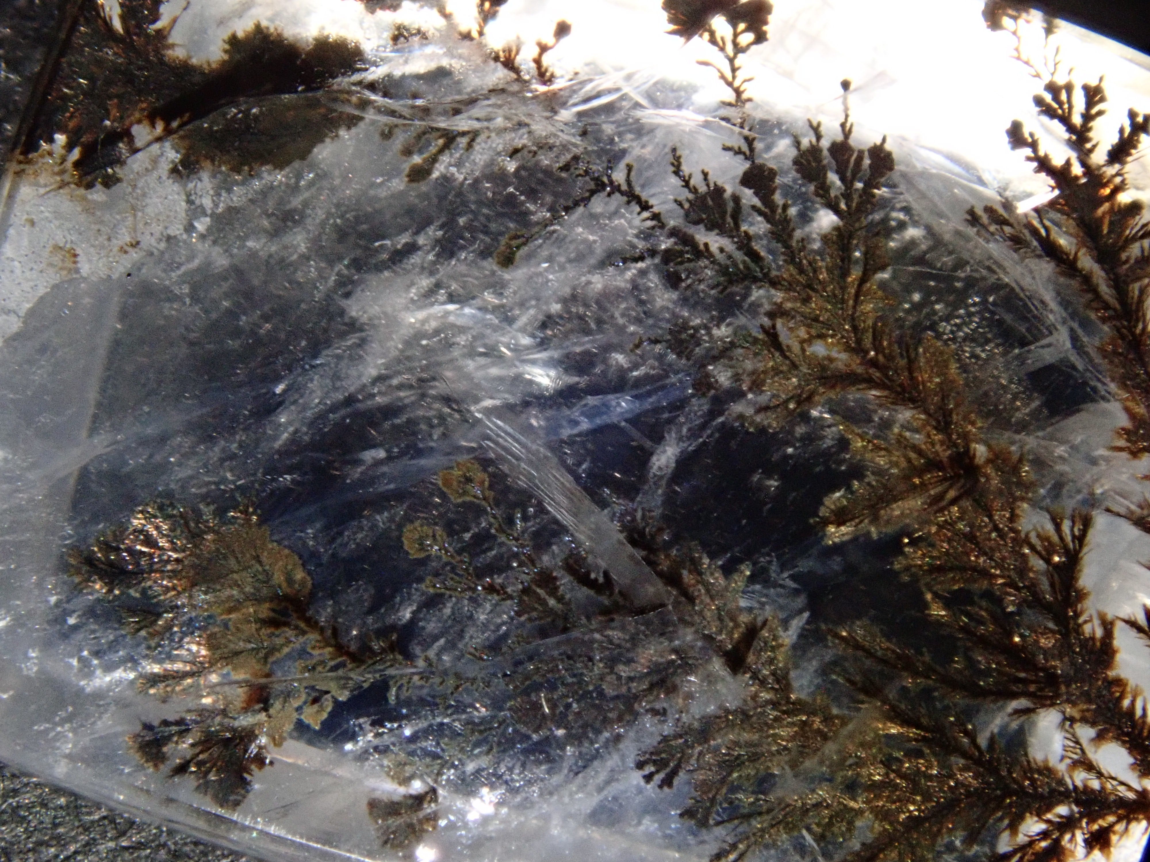 【12562081掲載】ブラジル産デンドリティッククォーツ 8.598ctルース