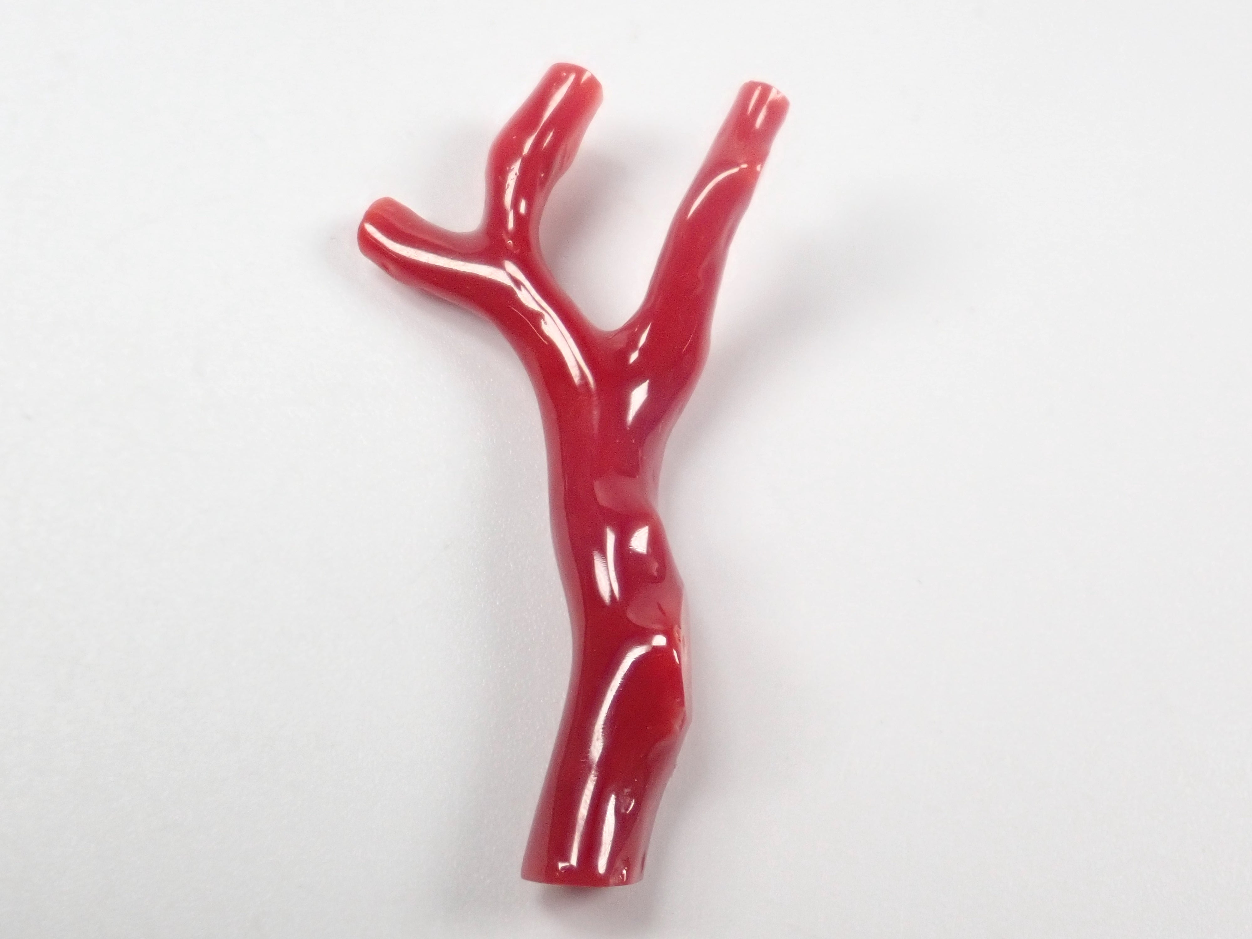 【3/29 22時販売】高知県産血赤珊瑚 原木ルース1石(3月誕生石、コーラル)《複数購入割引有》