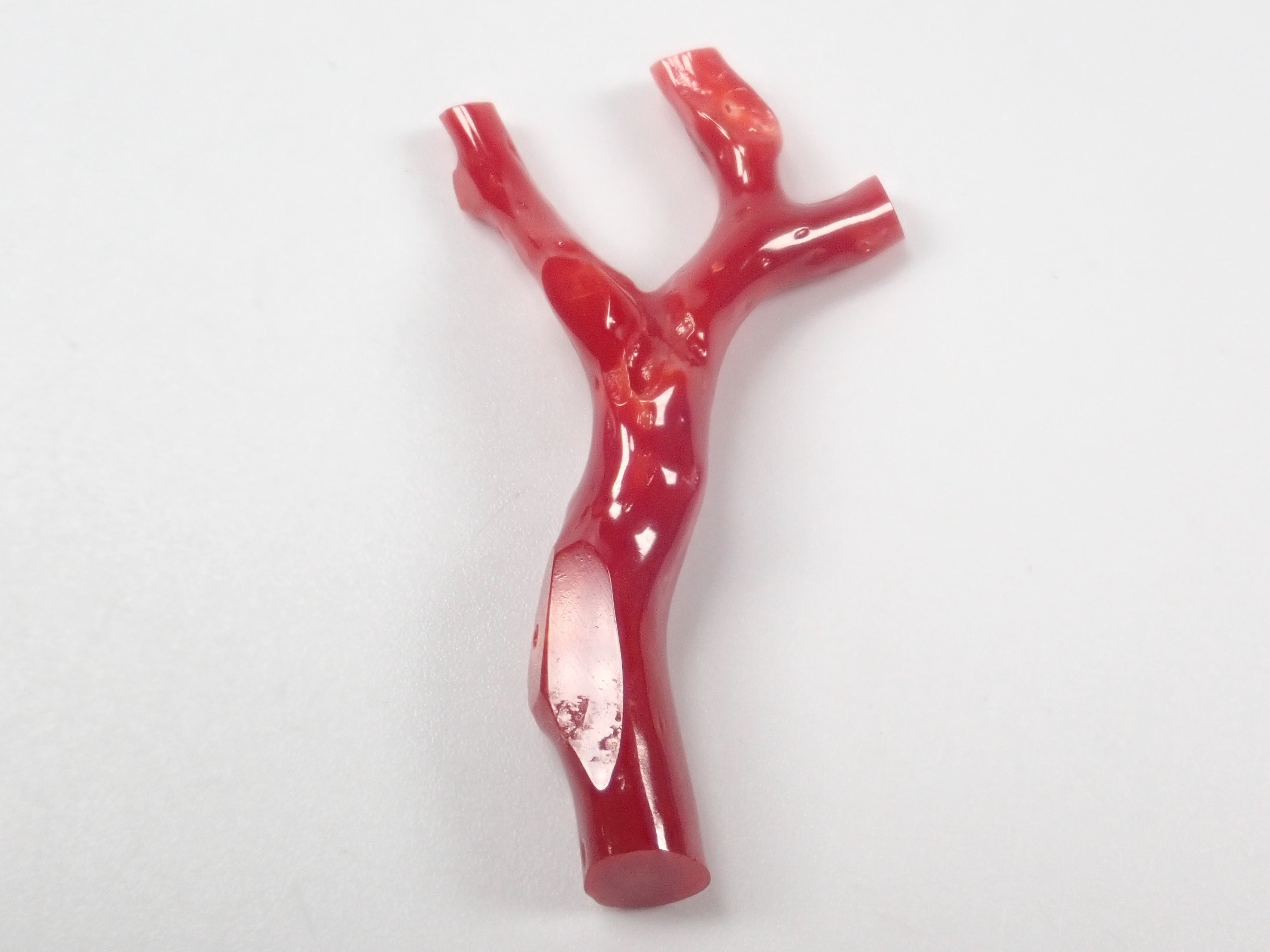 【3/29 22時販売】高知県産血赤珊瑚 原木ルース1石(3月誕生石、コーラル)《複数購入割引有》