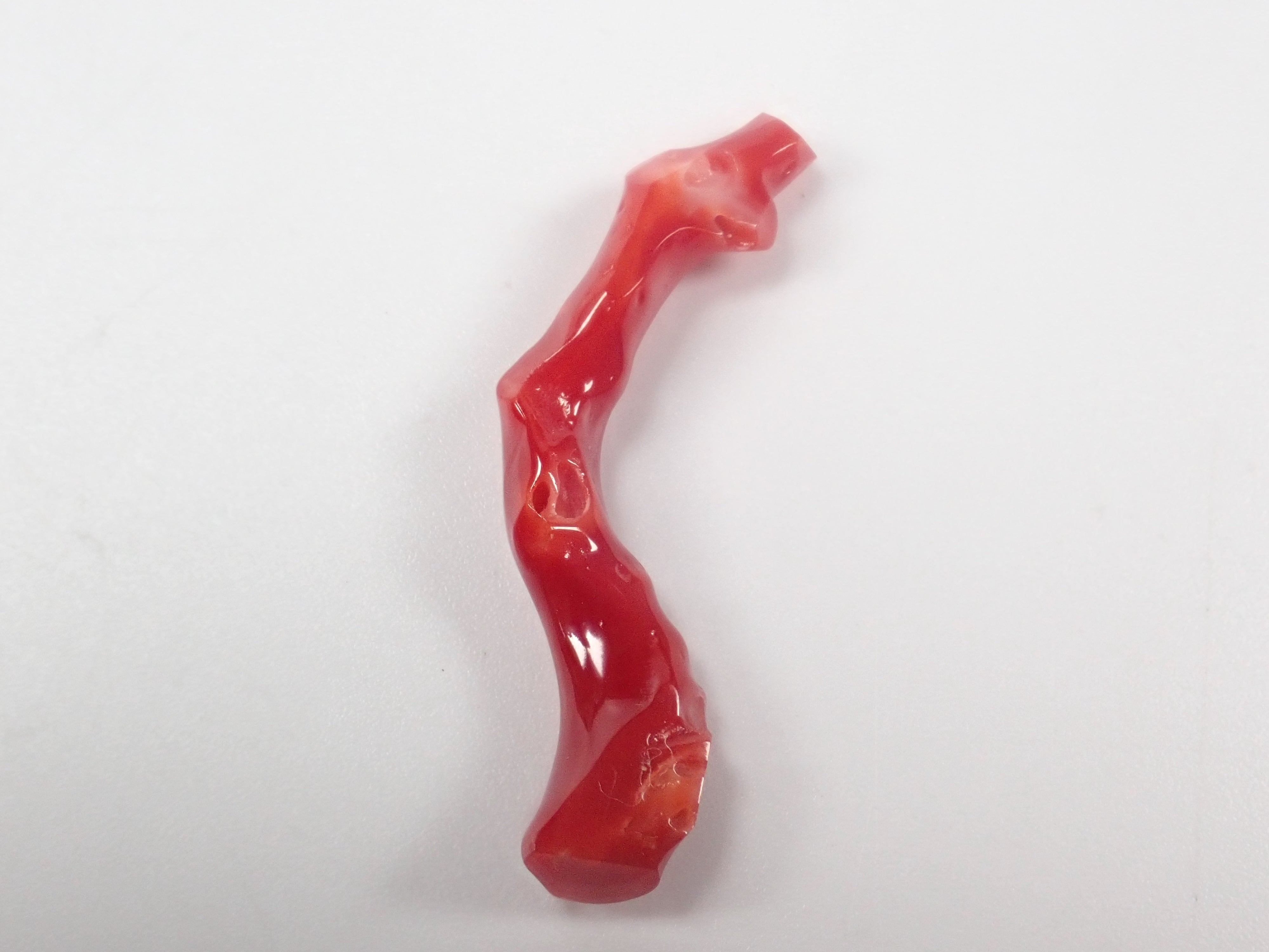 【3/29 22時販売】高知県産血赤珊瑚 原木ルース1石(3月誕生石、コーラル)《複数購入割引有》