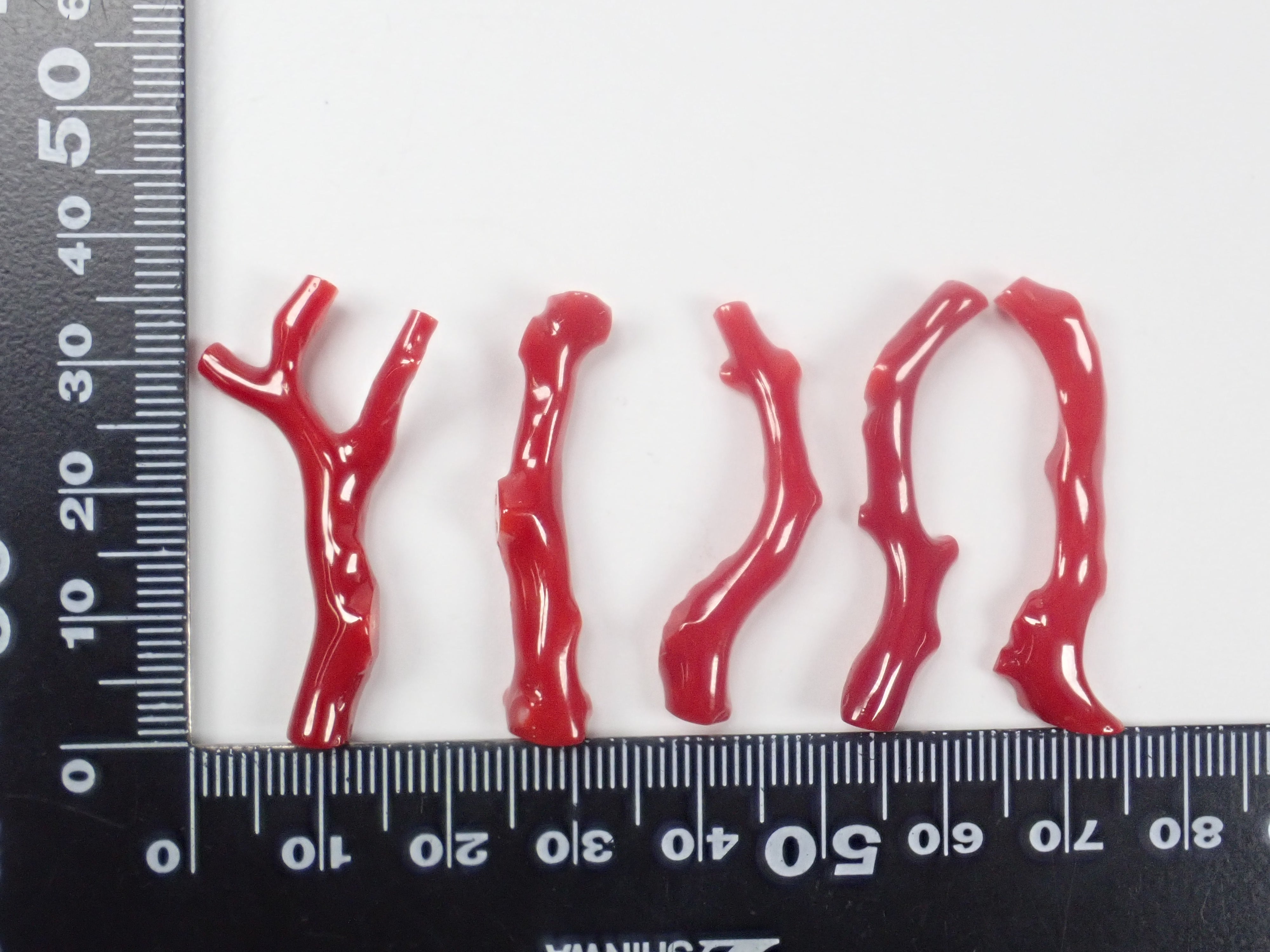 【3/29 22時販売】高知県産血赤珊瑚 原木ルース1石(3月誕生石、コーラル)《複数購入割引有》