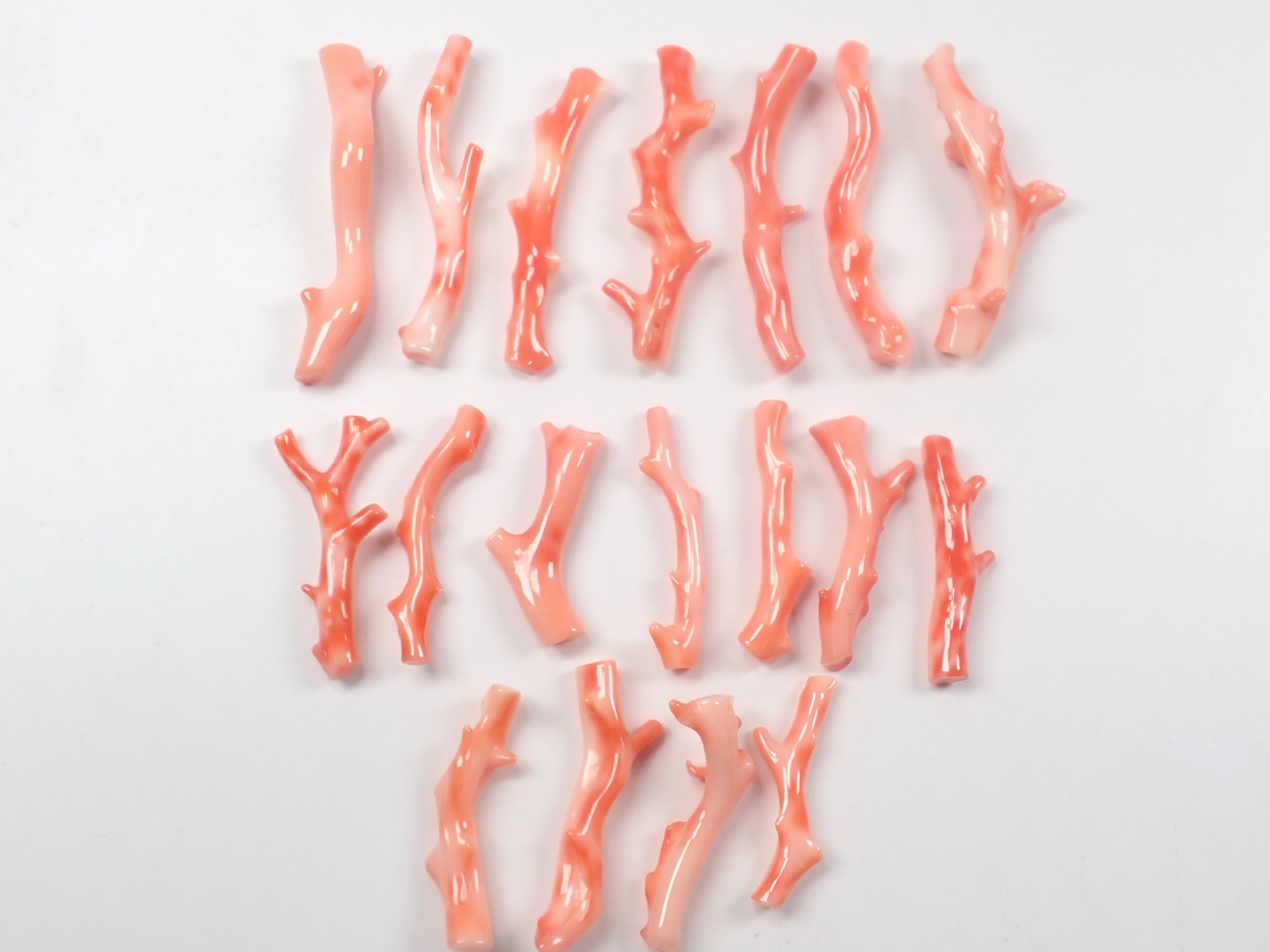 【4/4 22時販売】《限定18点》深海珊瑚 枝(原木)1石(3月誕生石、コーラル,平均18ct)《複数購入割引有》