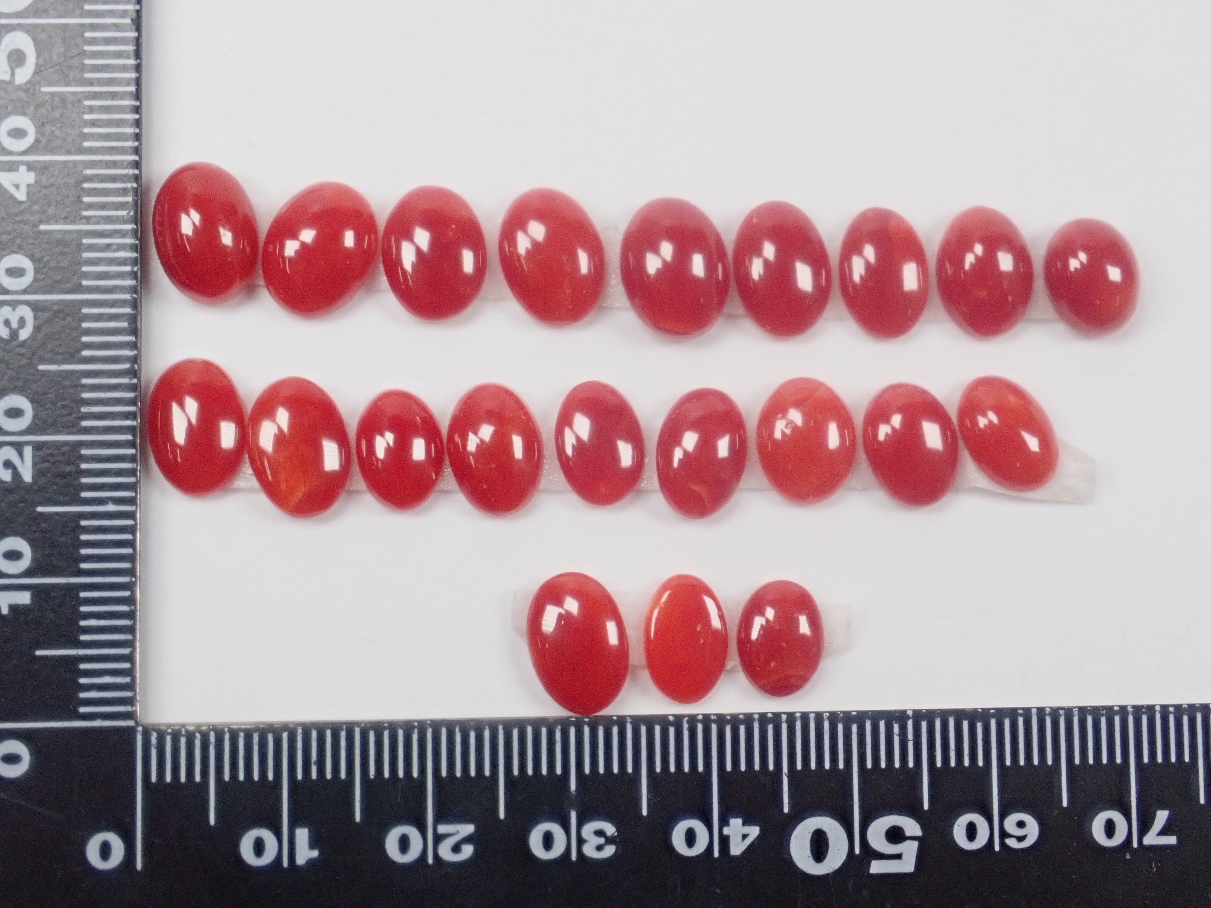 高知縣產阿卡珊瑚裸石(6~8mm/因打撈水壓而產生的傷痕)《多件購買享折扣》