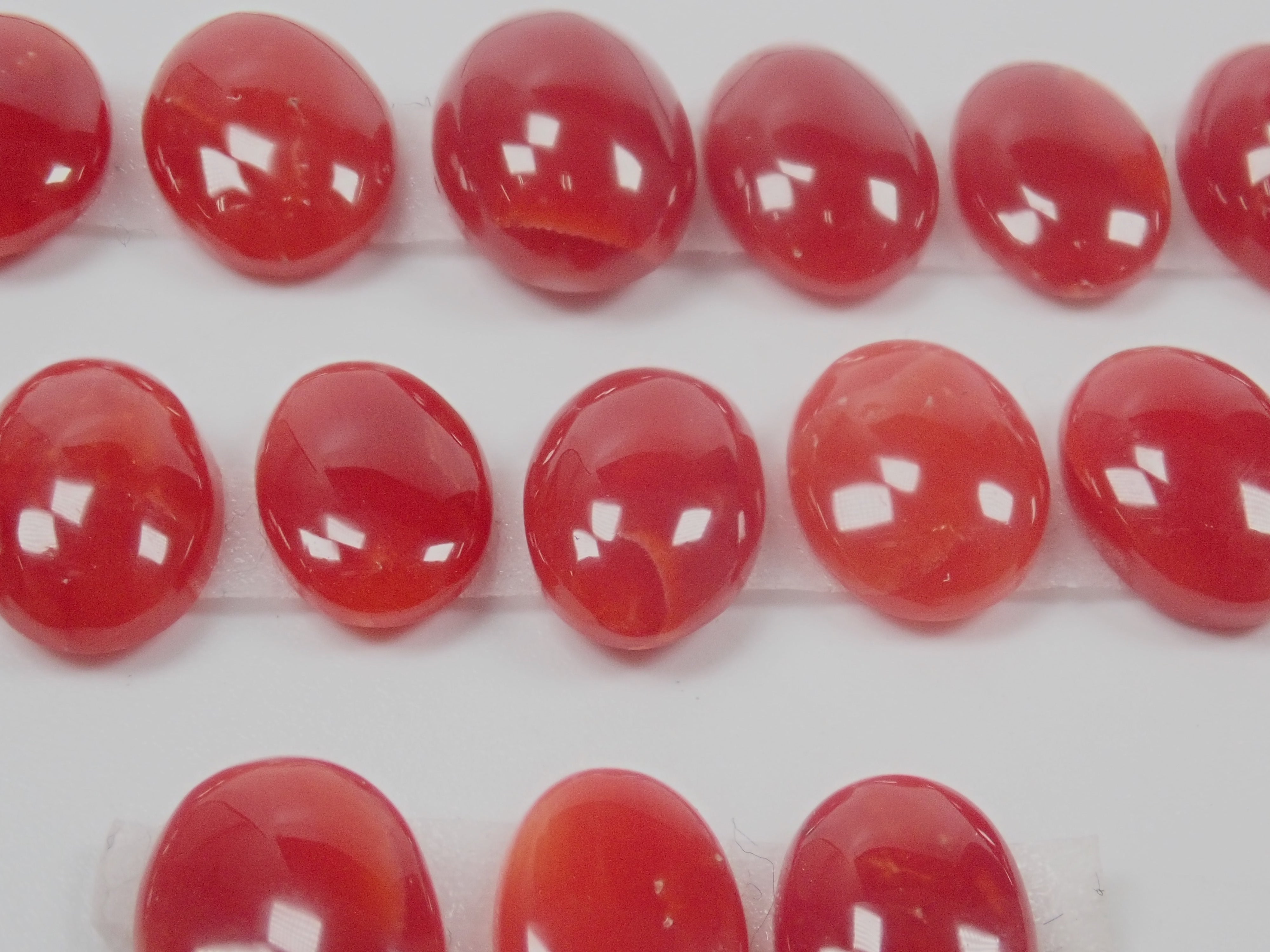 高知縣產阿卡珊瑚裸石(6~8mm/因打撈水壓而產生的傷痕)《多件購買享折扣》