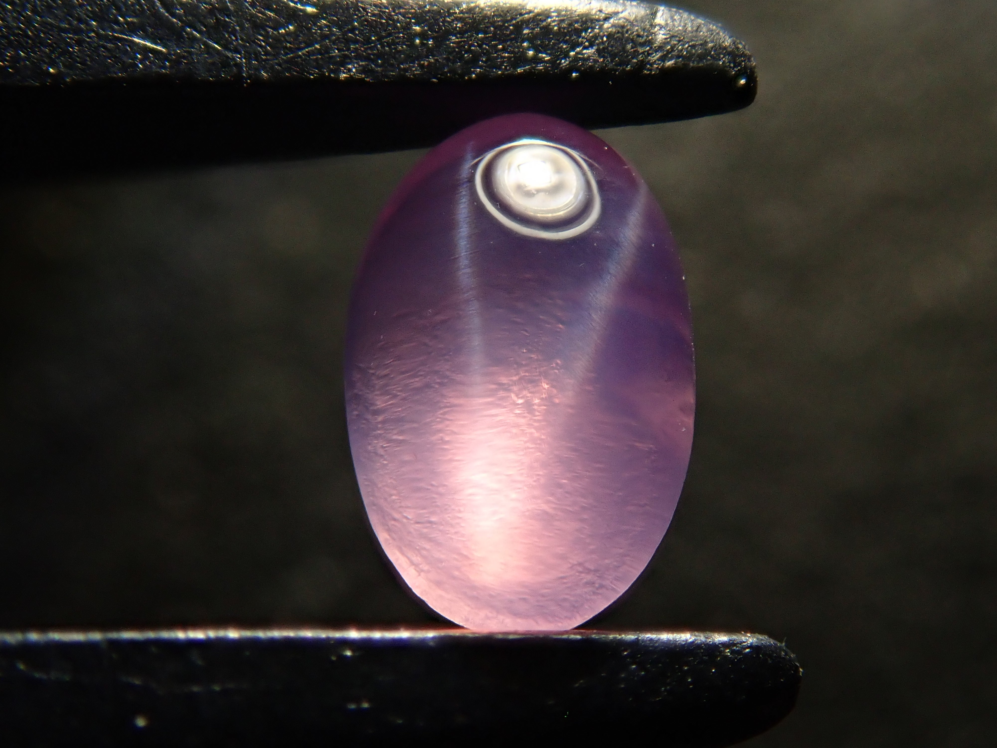 【12562519掲載】スリランカ産非加熱スターサファイア 0.361ctルース