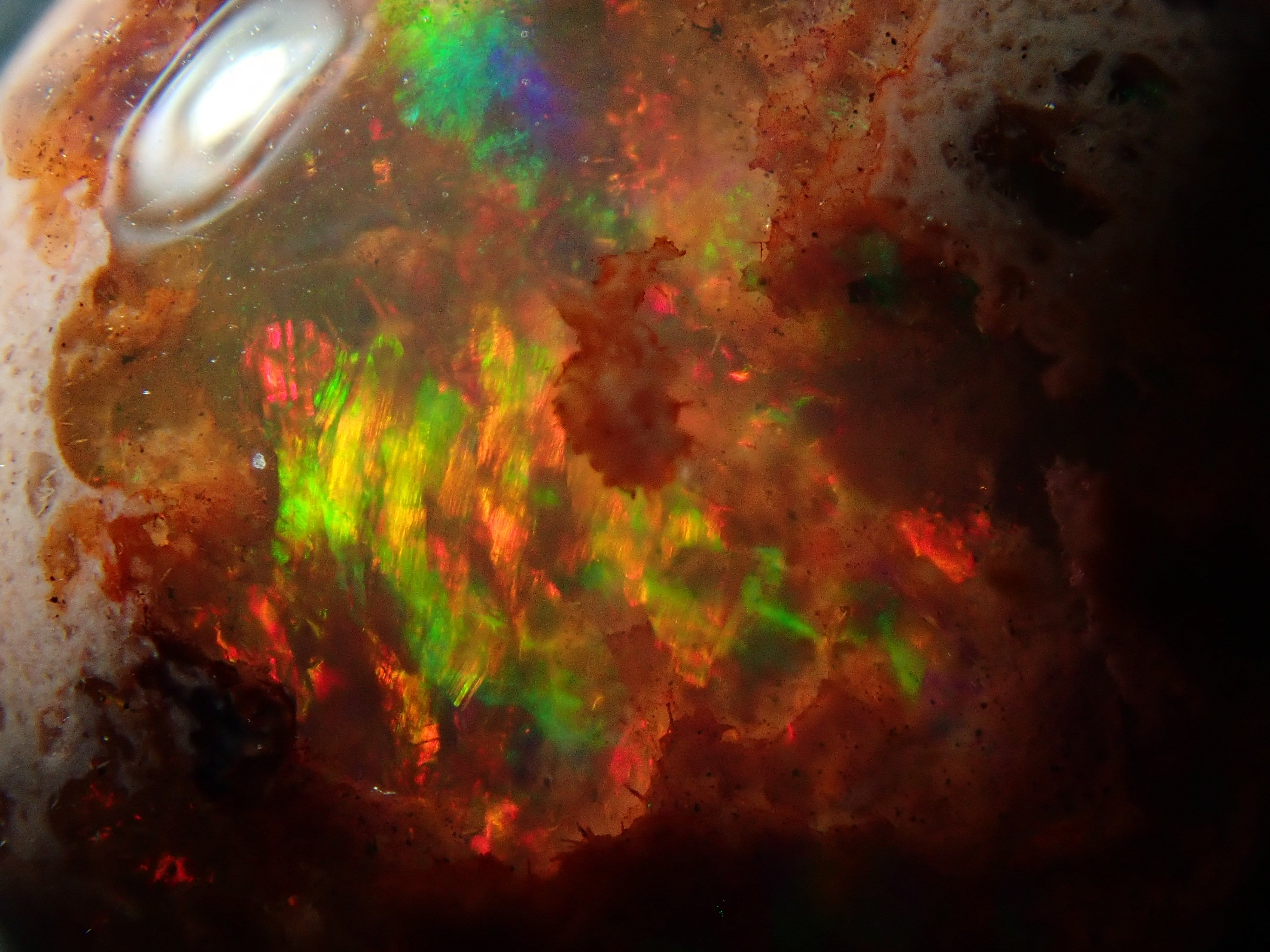 【12562809掲載】メキシコ産カンテラオパール 7.619ctルース